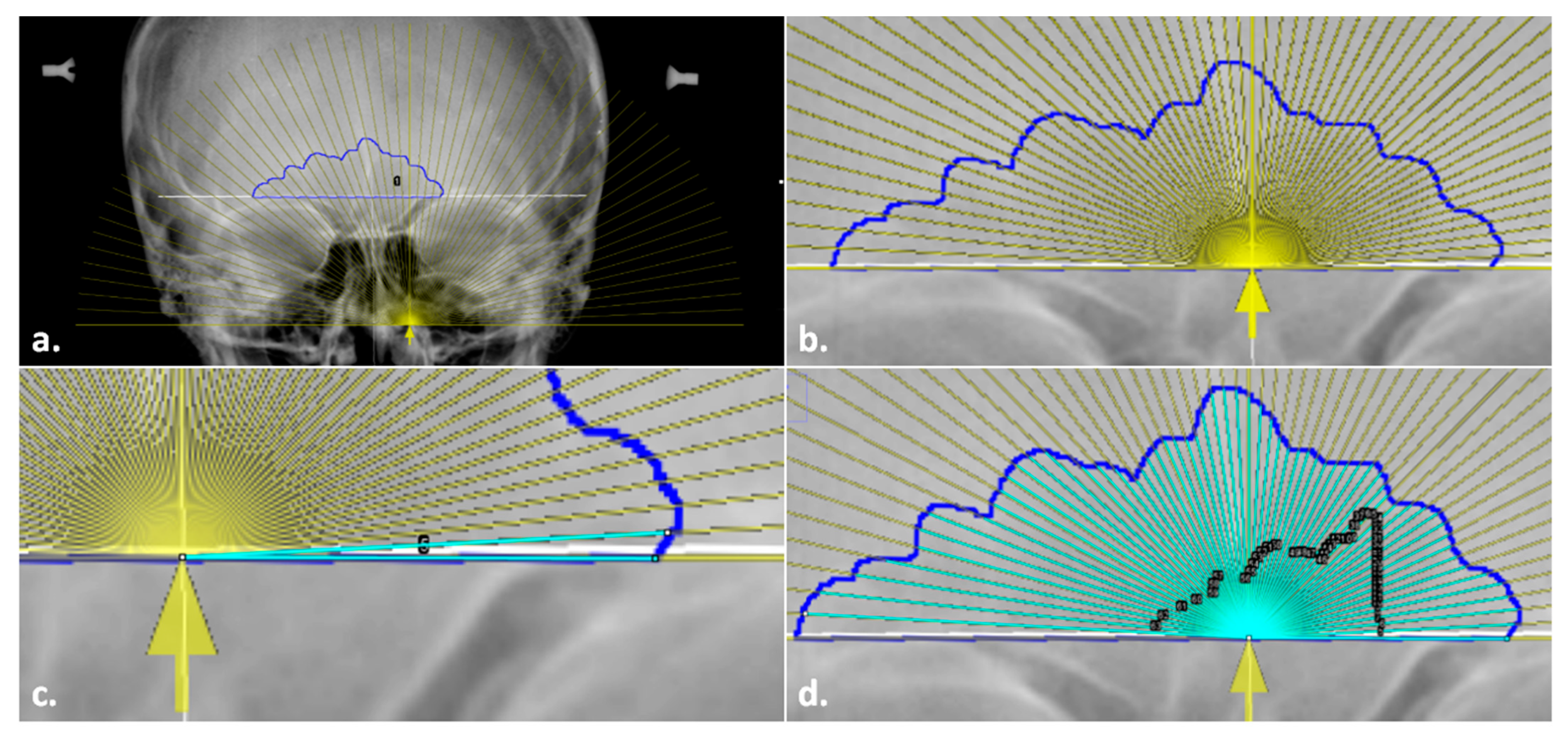 Biology 11 01075 g005