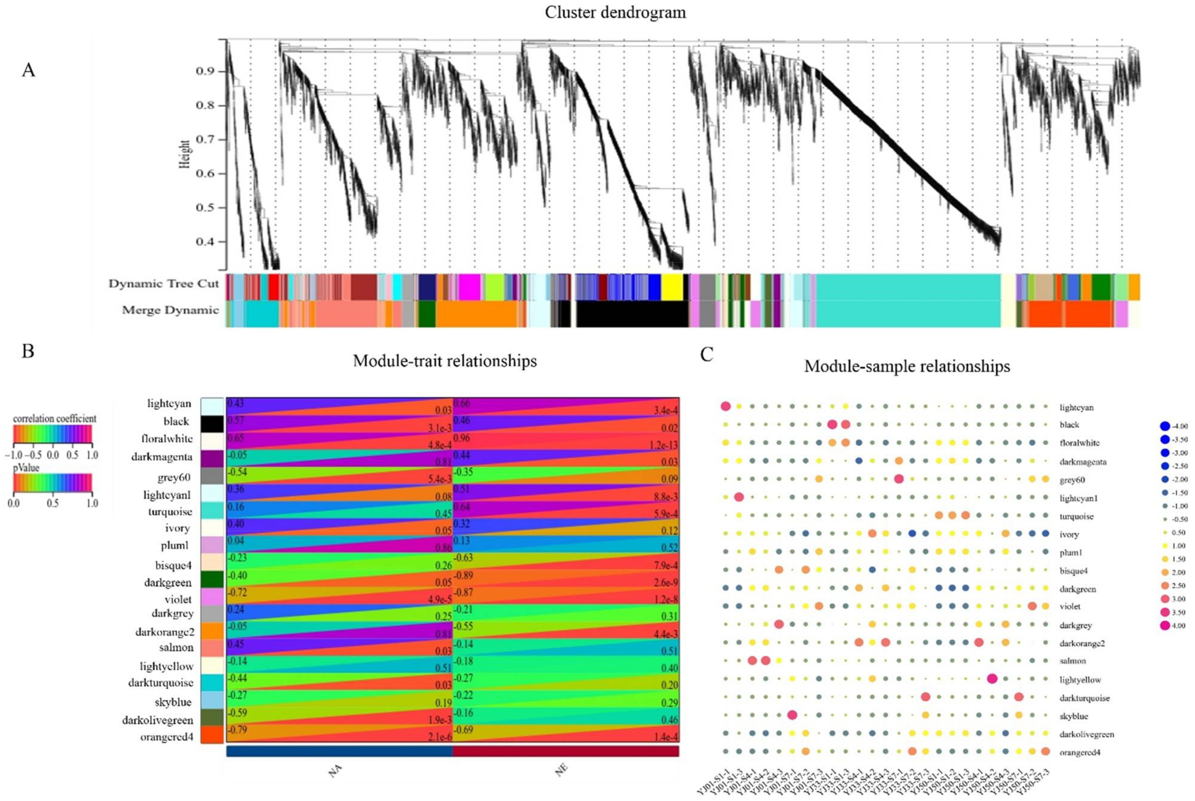 Biology 11 01078 g004 550
