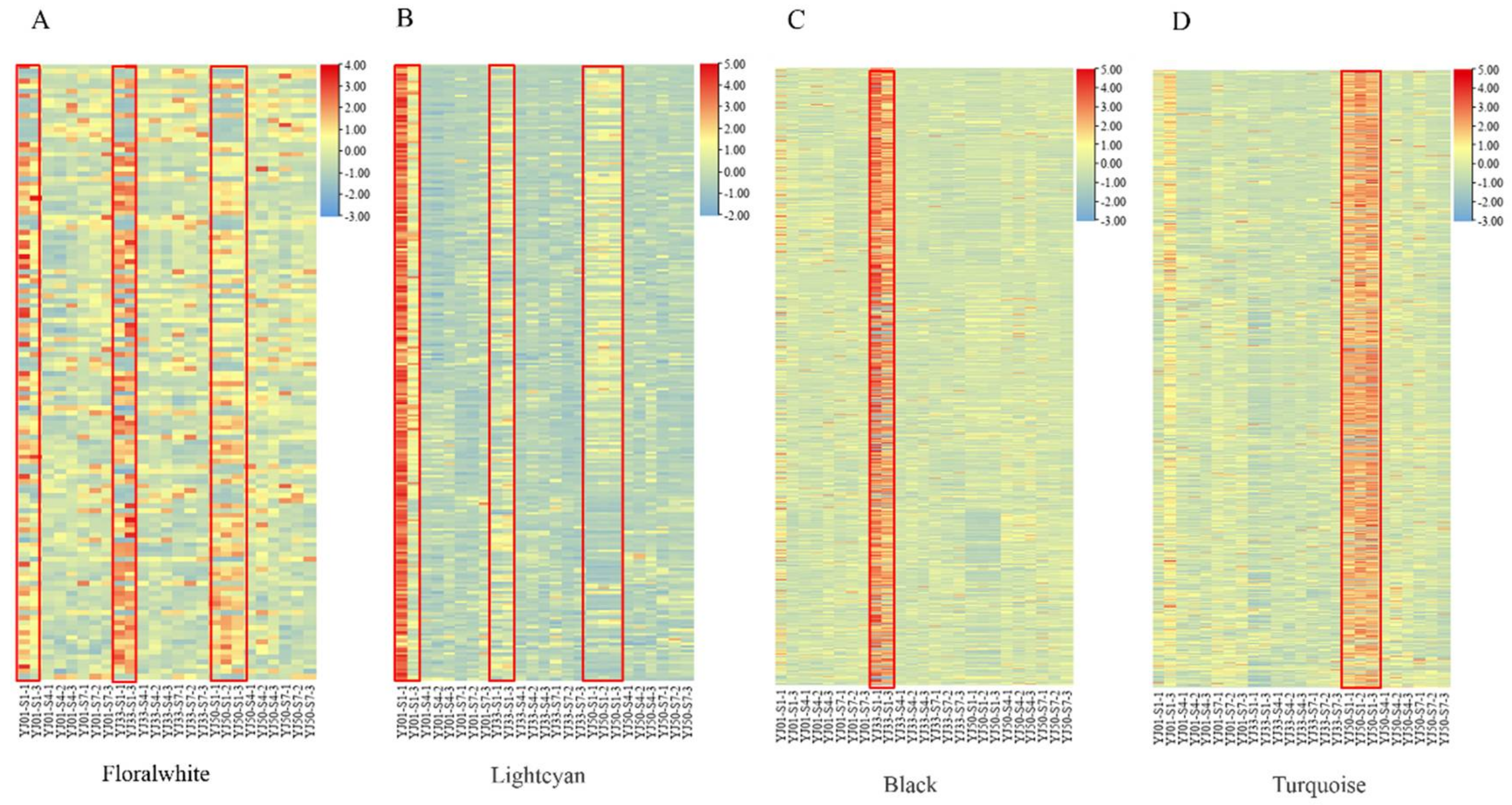 Biology 11 01078 g005 550