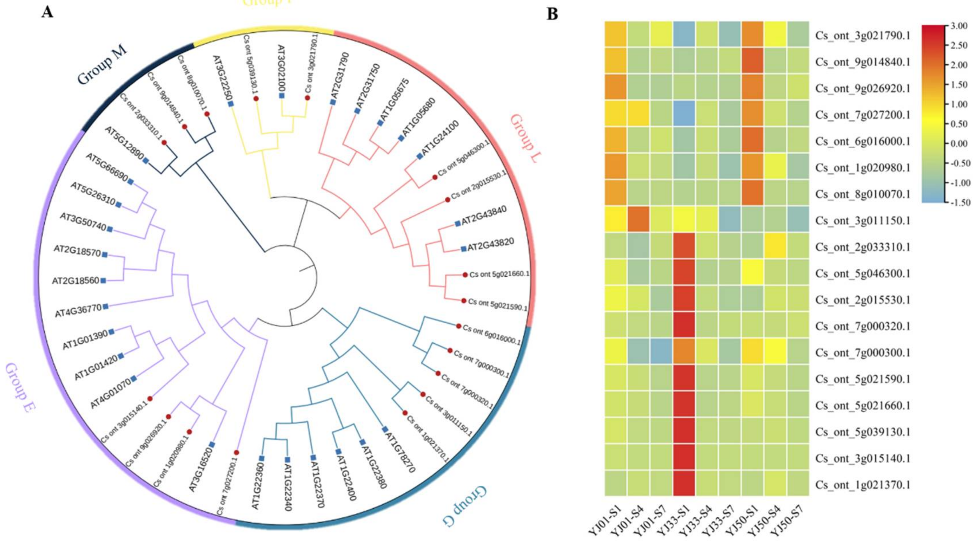 Biology 11 01078 g006 550