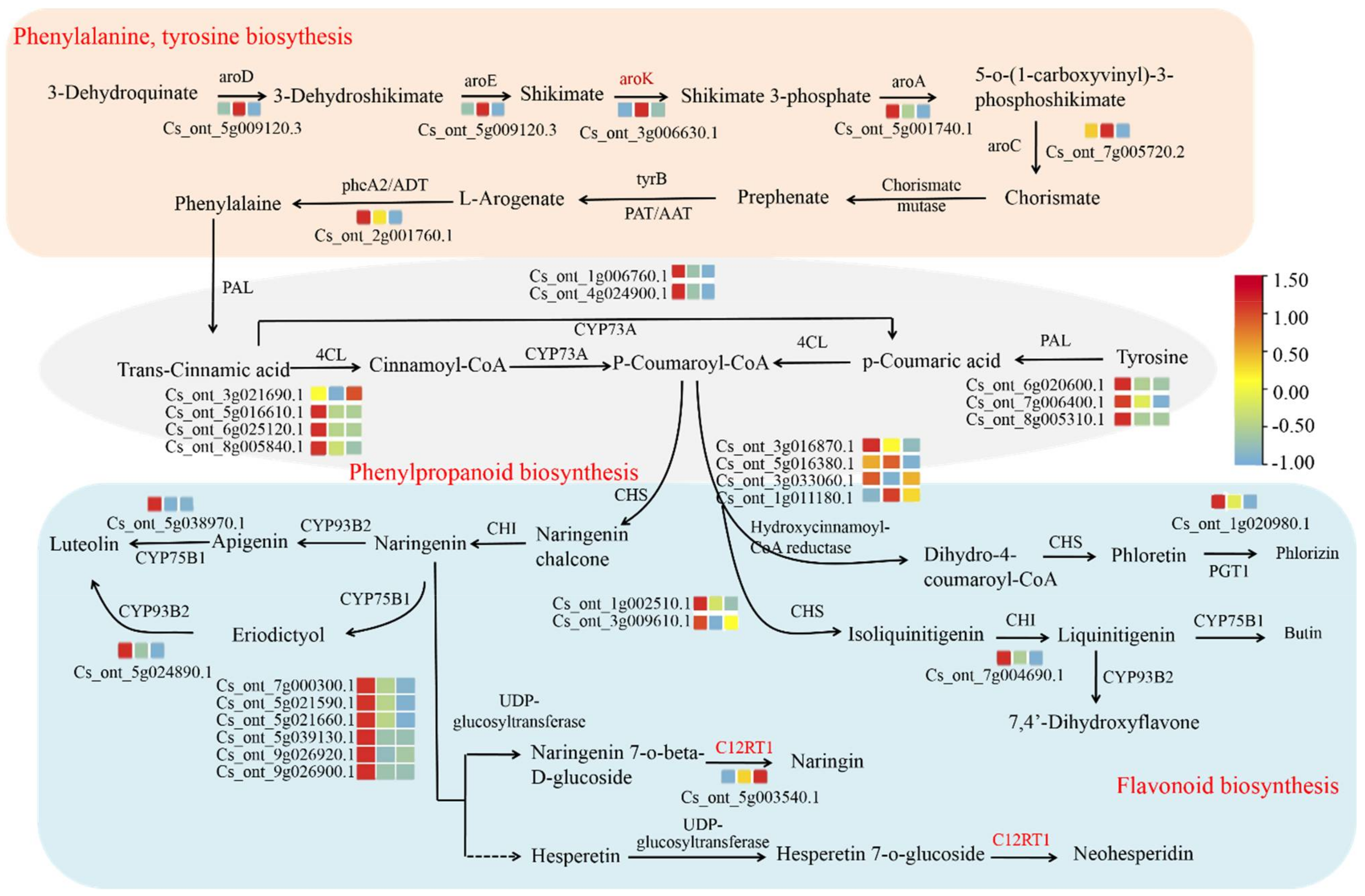Biology 11 01078 g007 550