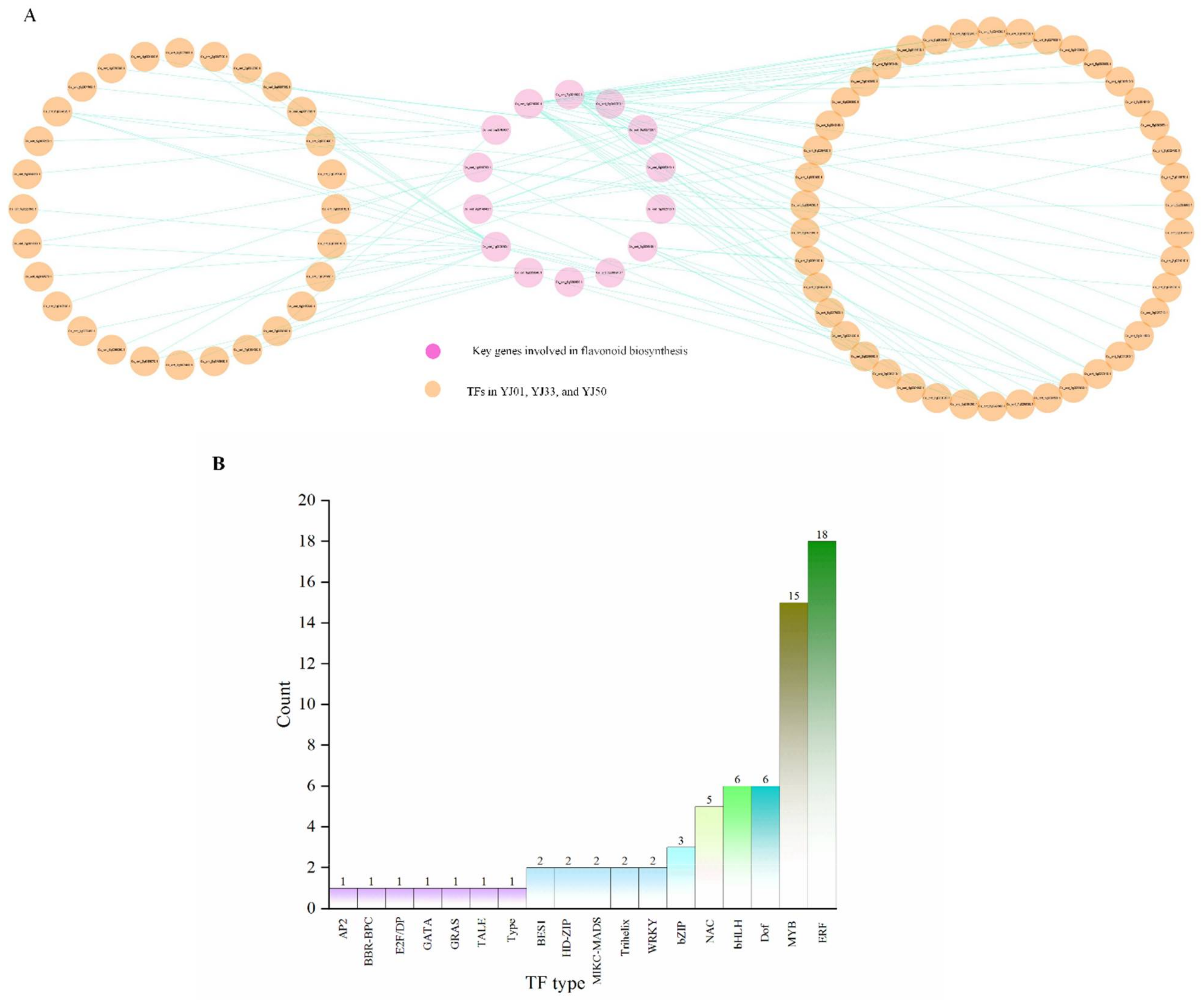 Biology 11 01078 g008 550