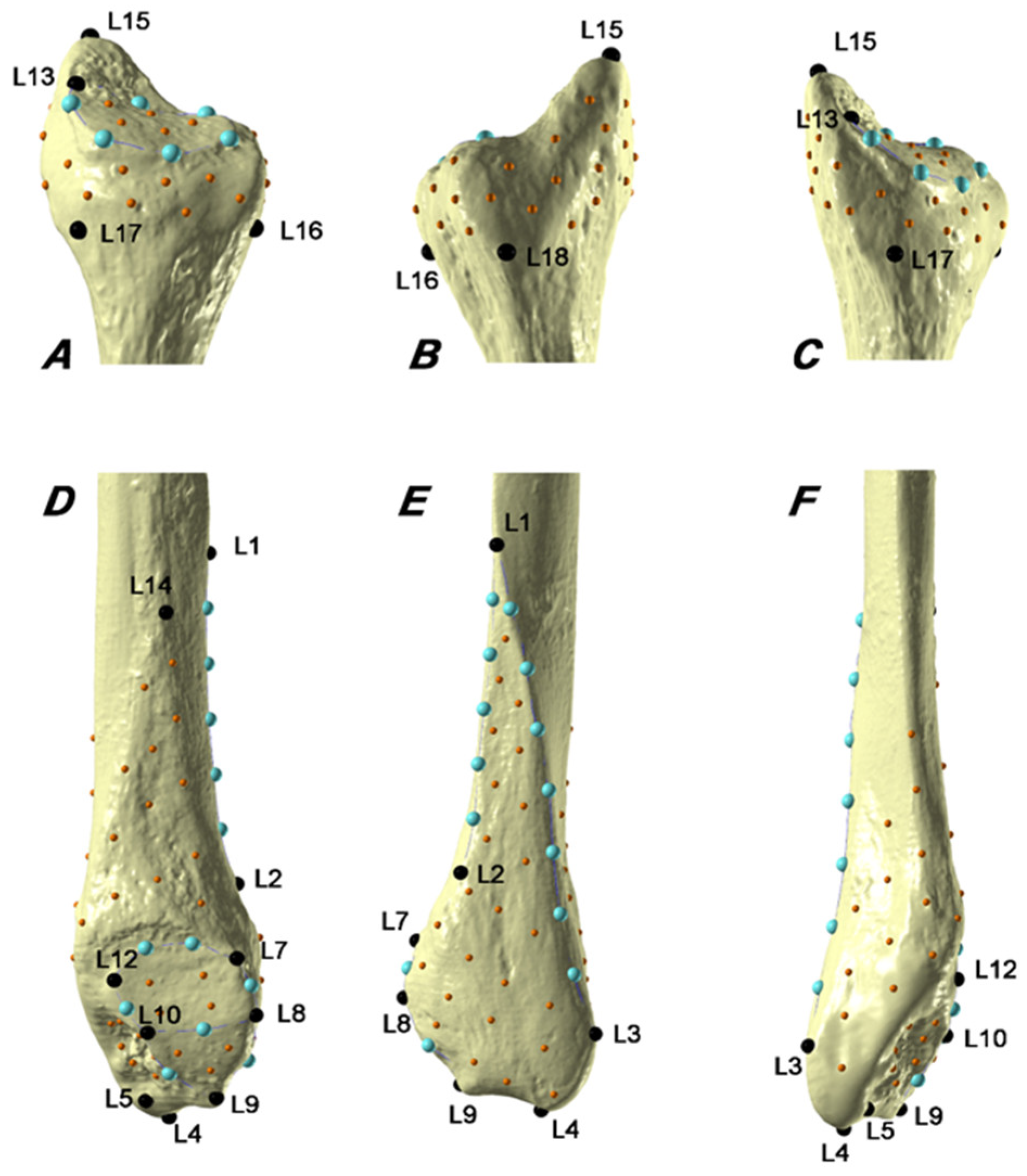 Biology 11 01079 g001