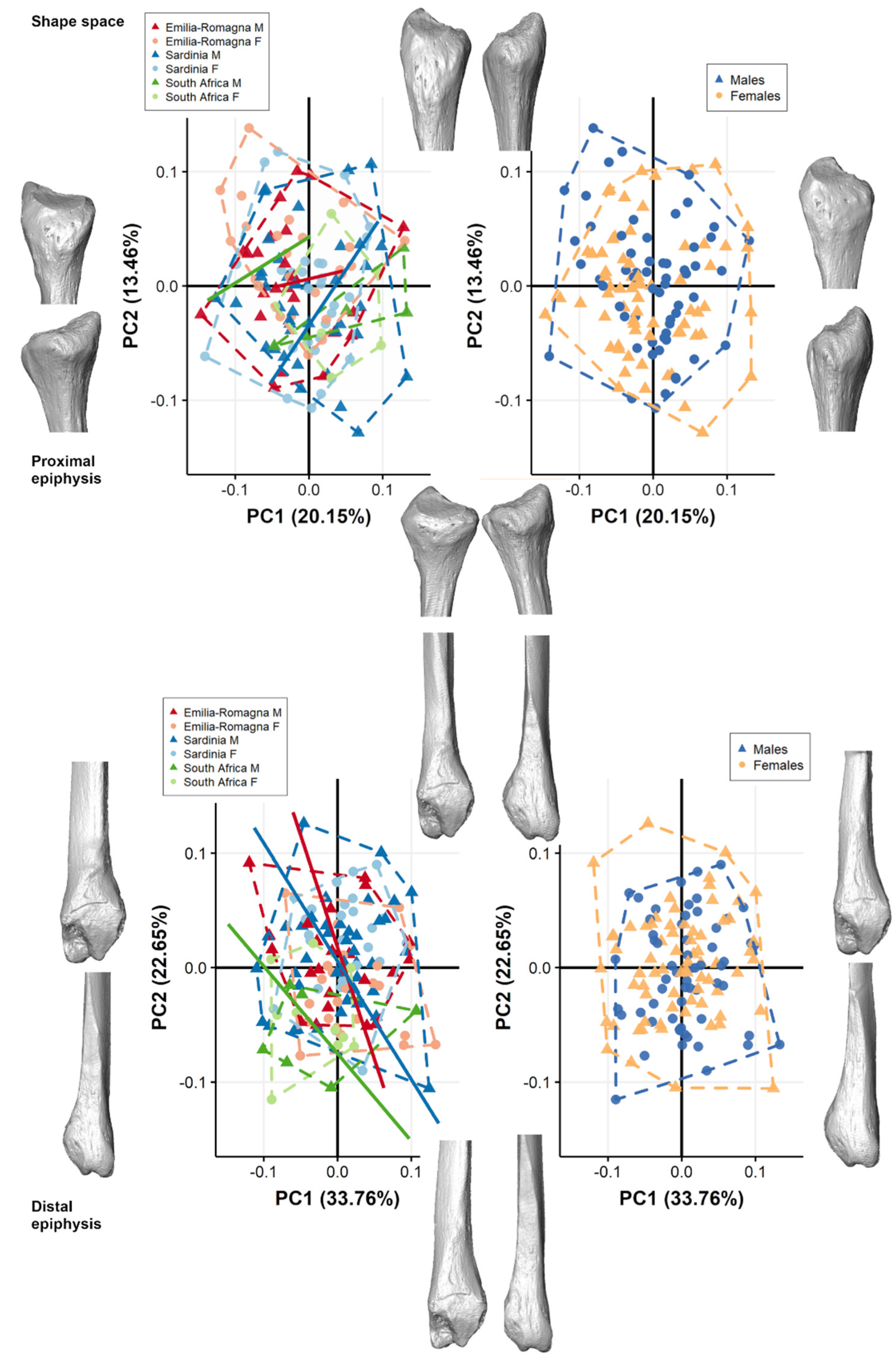 Biology 11 01079 g002