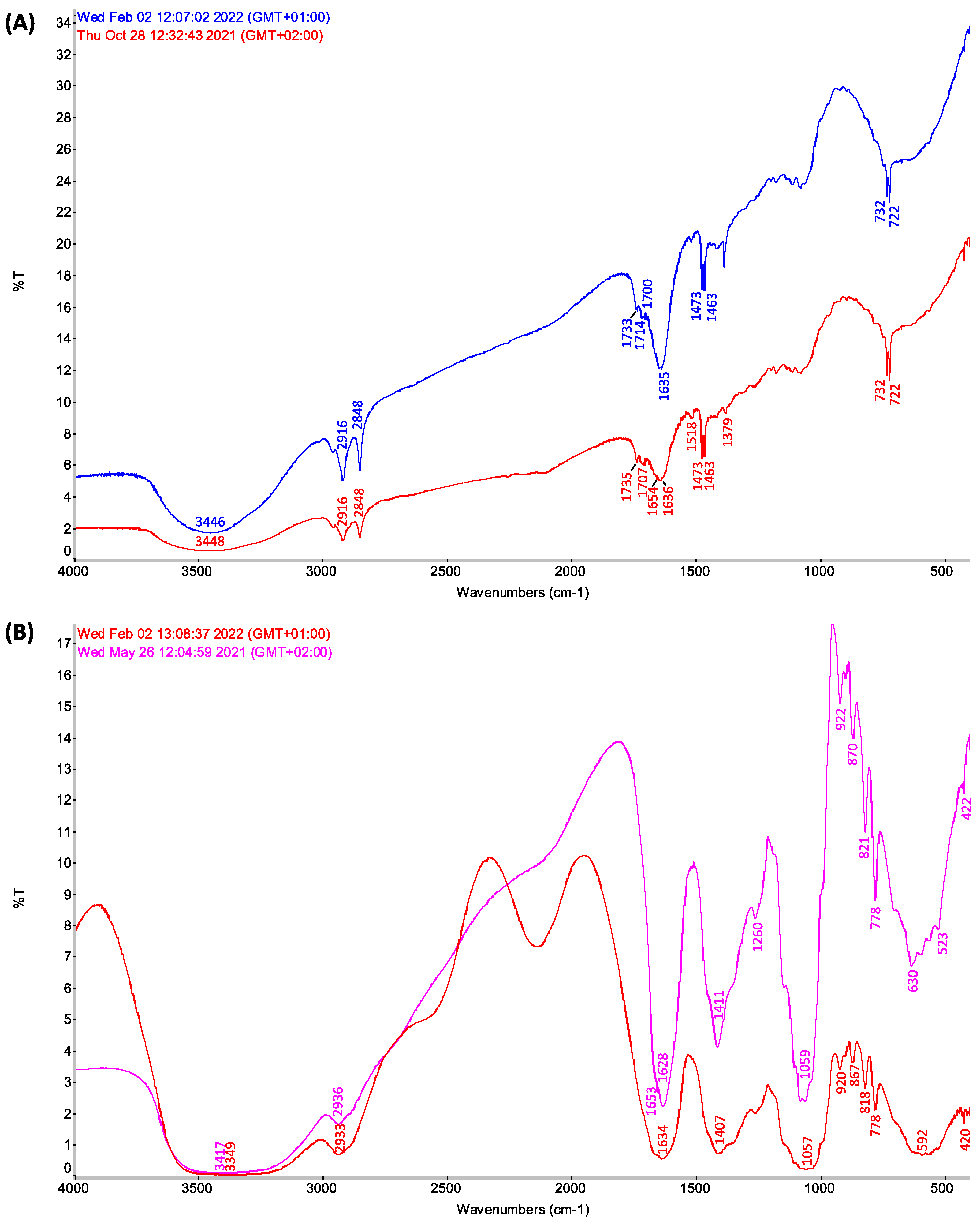 Biology 11 01080 g004
