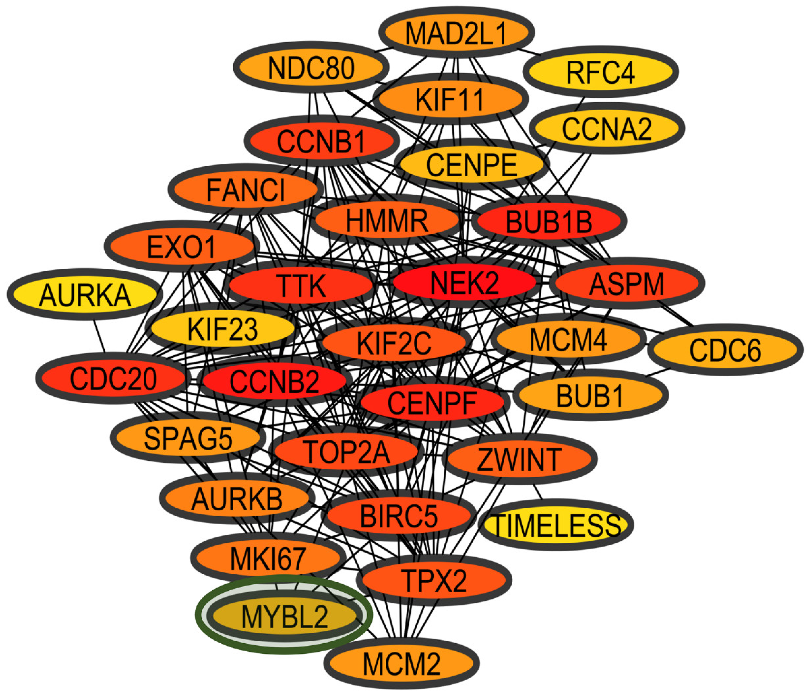 Biology 11 01082 g007