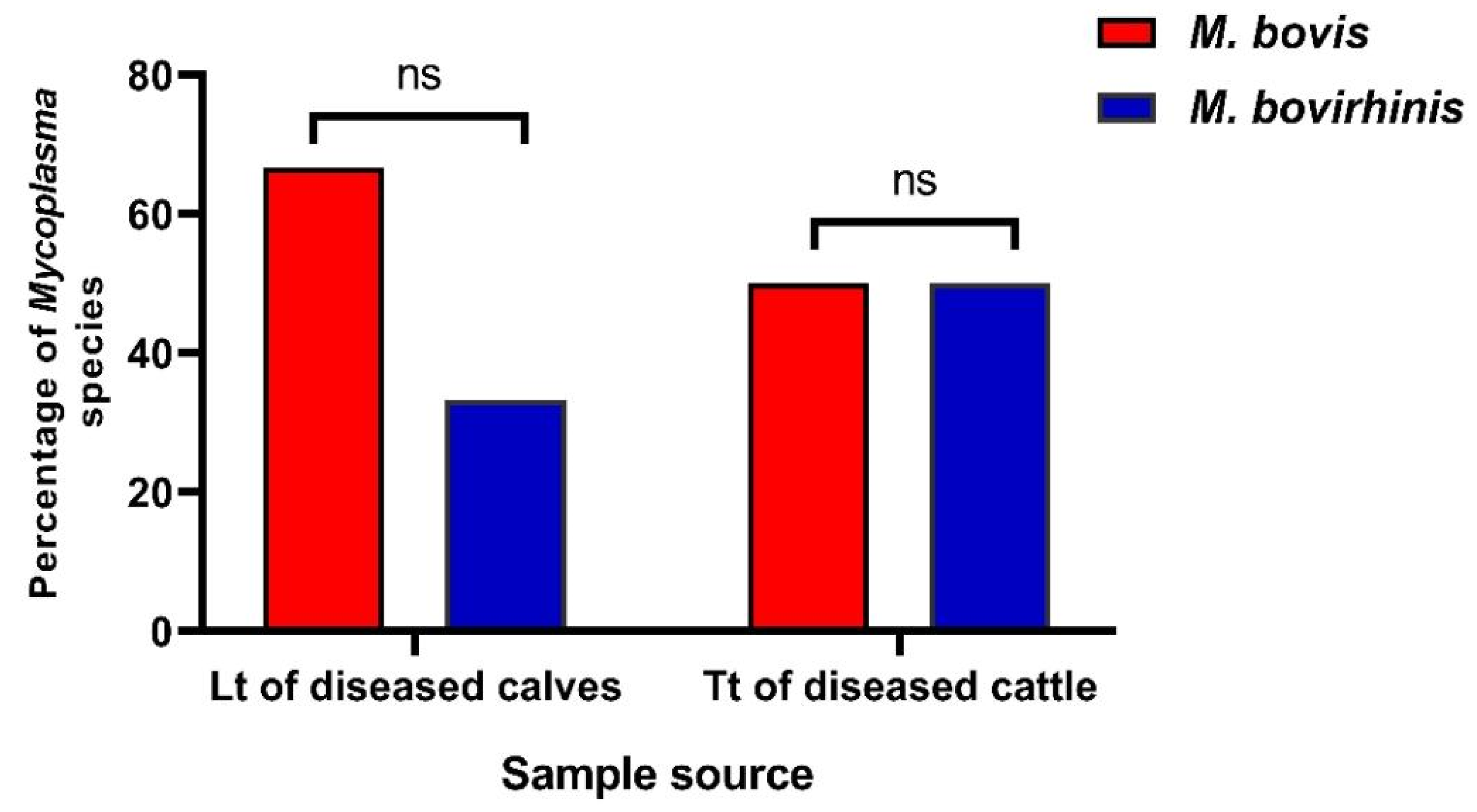 Biology 11 01083 g003 Biology 11 01083 g003