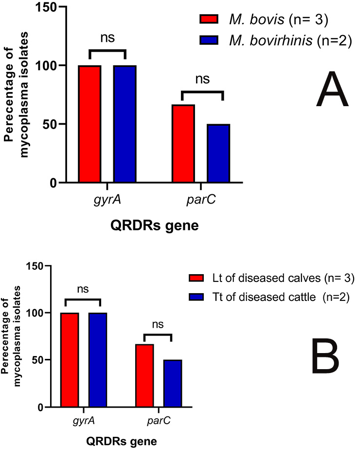 Biology 11 01083 g004 Biology 11 01083 g004