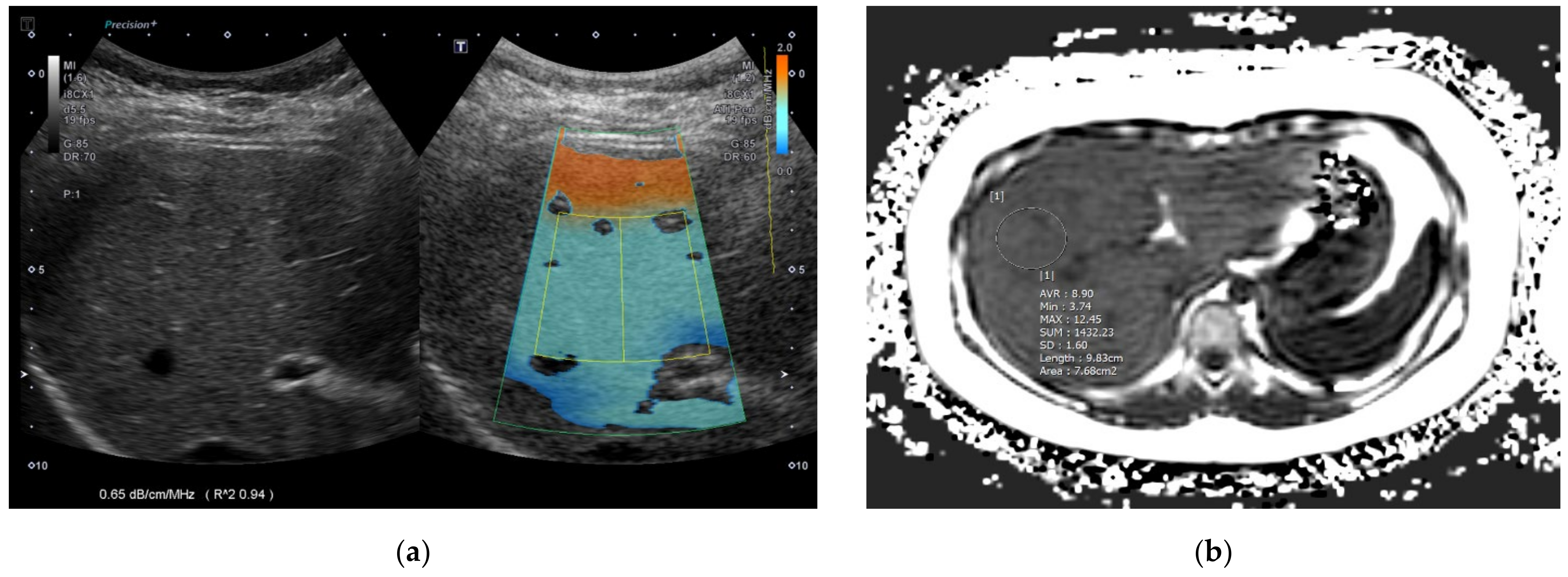 Biology 11 01087 g001