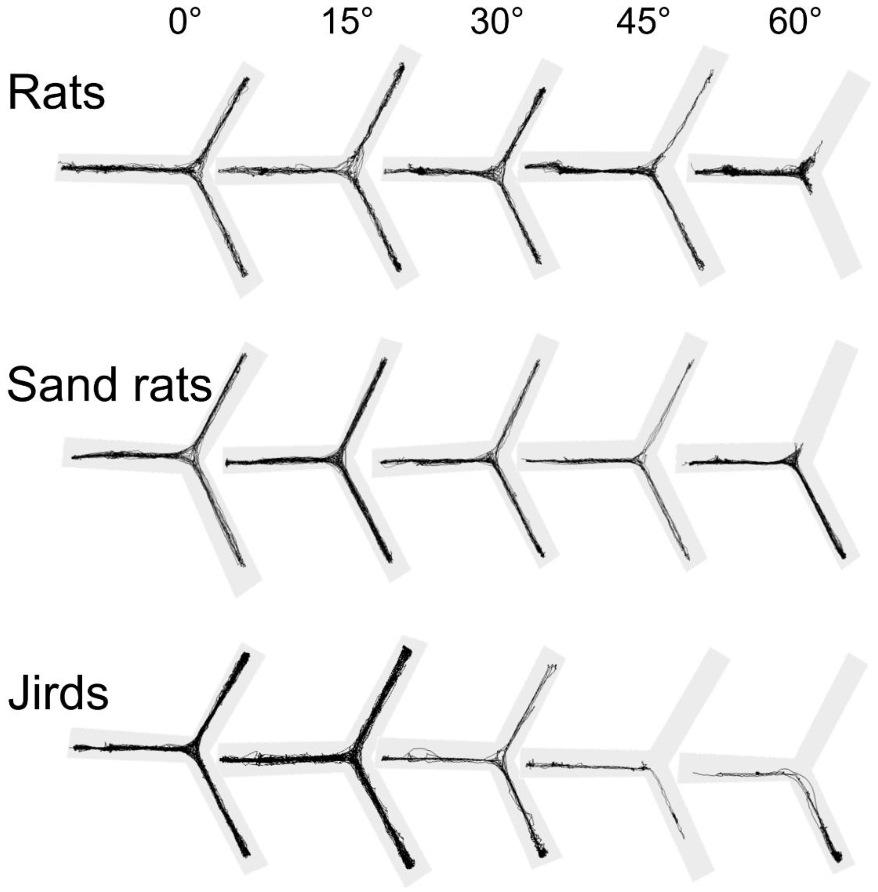 Biology 11 01090 g004