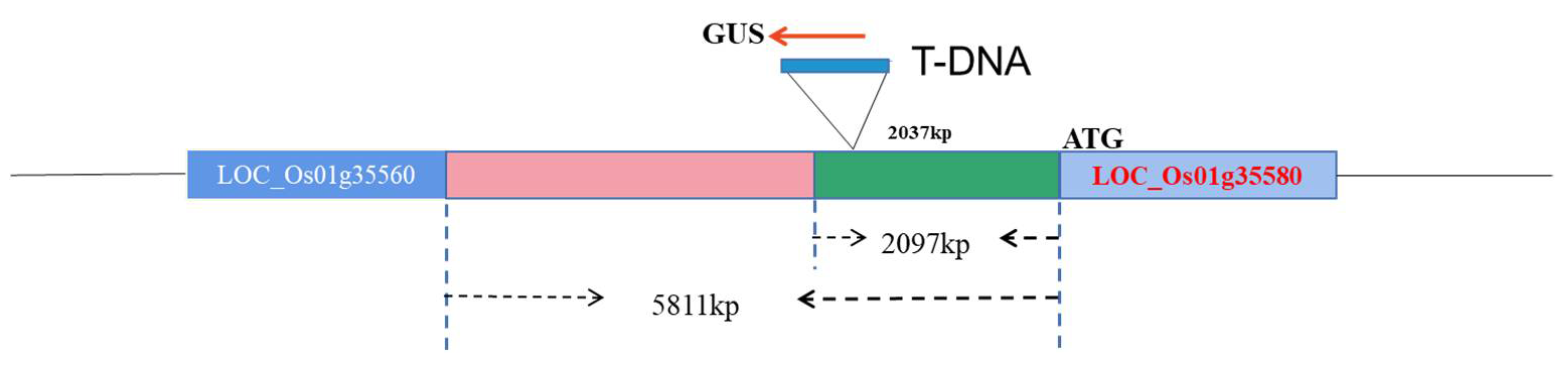 Biology 11 01092 g001 Biology 11 01092 g001