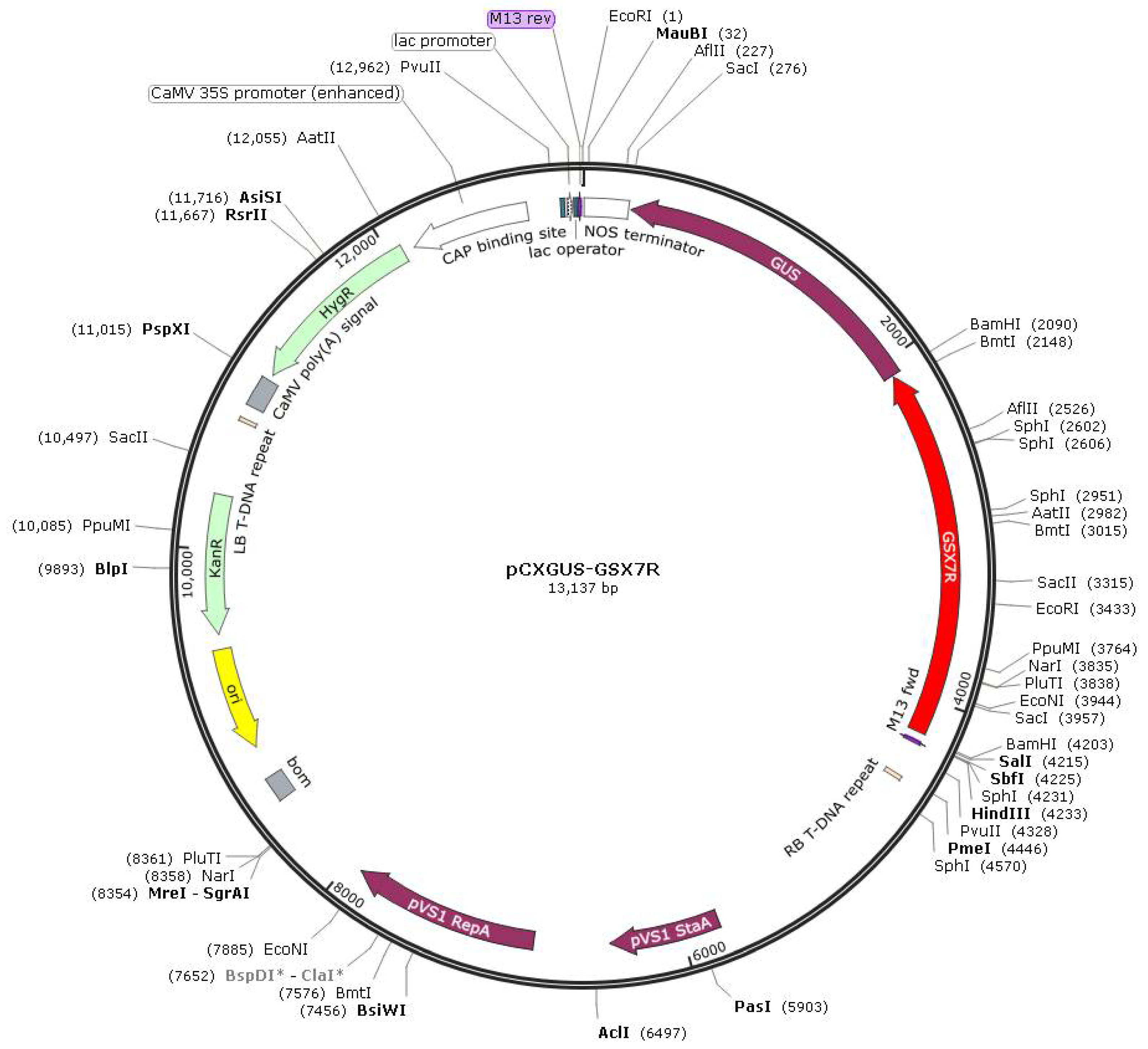 Biology 11 01092 g002 Biology 11 01092 g002