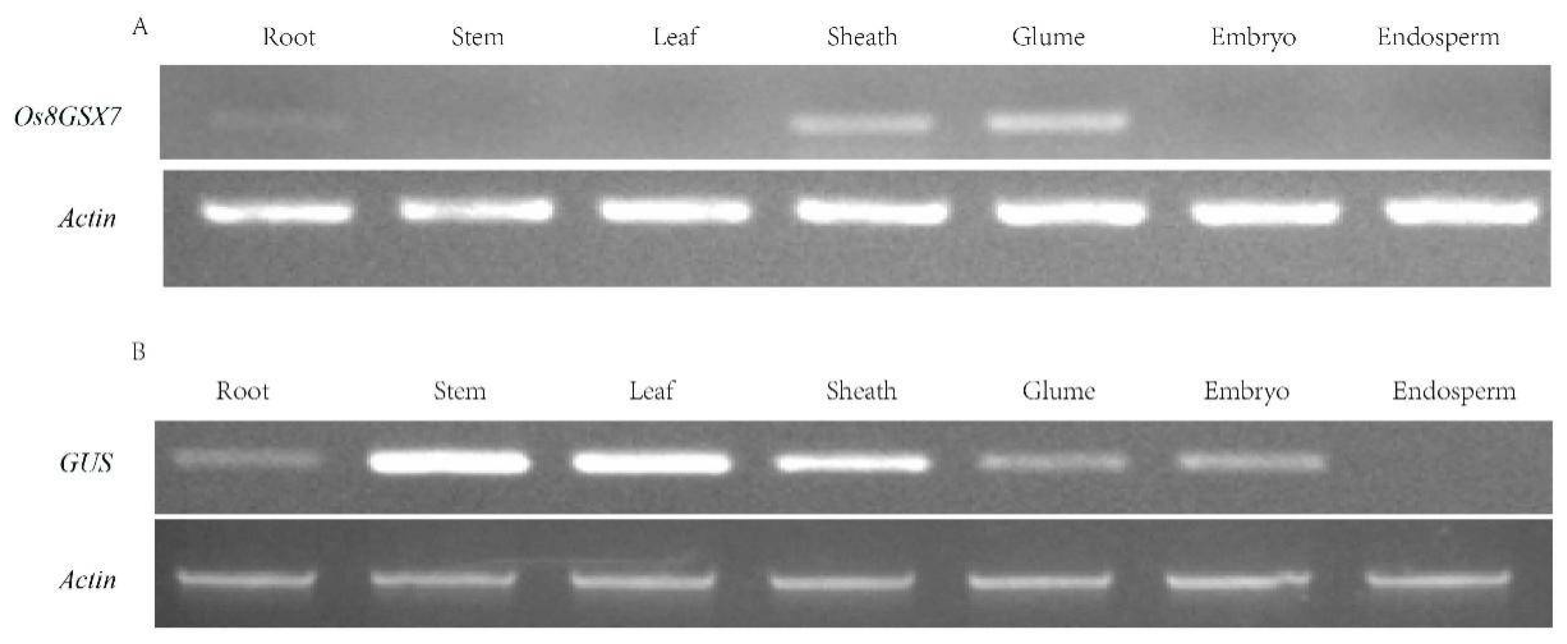 Biology 11 01092 g003 Biology 11 01092 g003