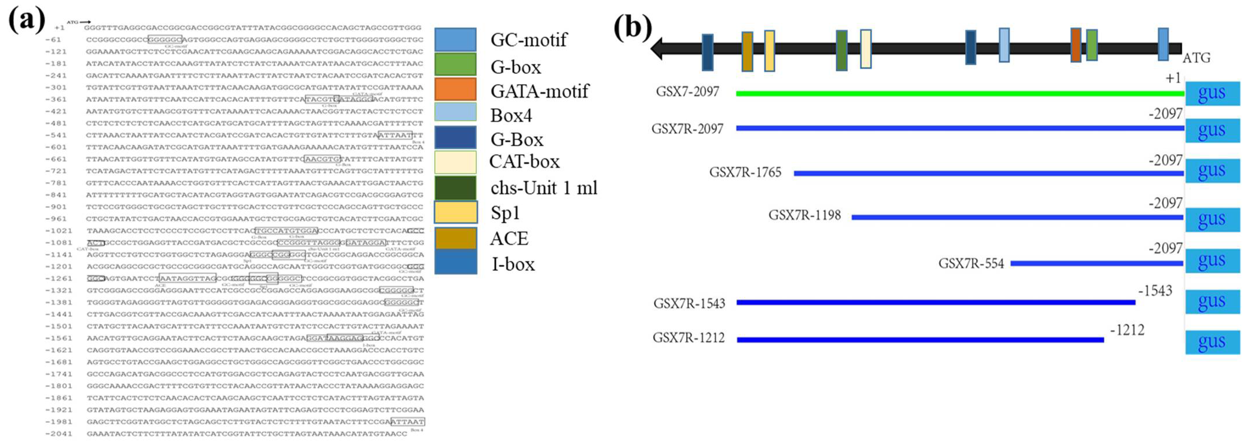 Biology 11 01092 g005 Biology 11 01092 g005