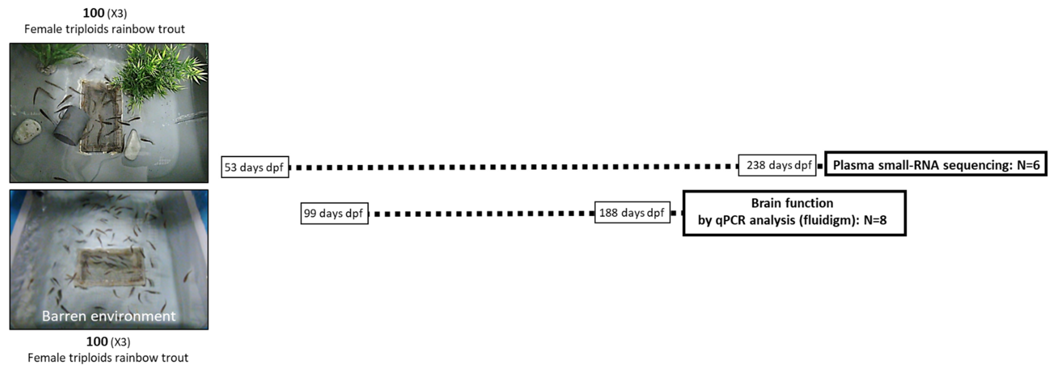 Biology 11 01093 g001
