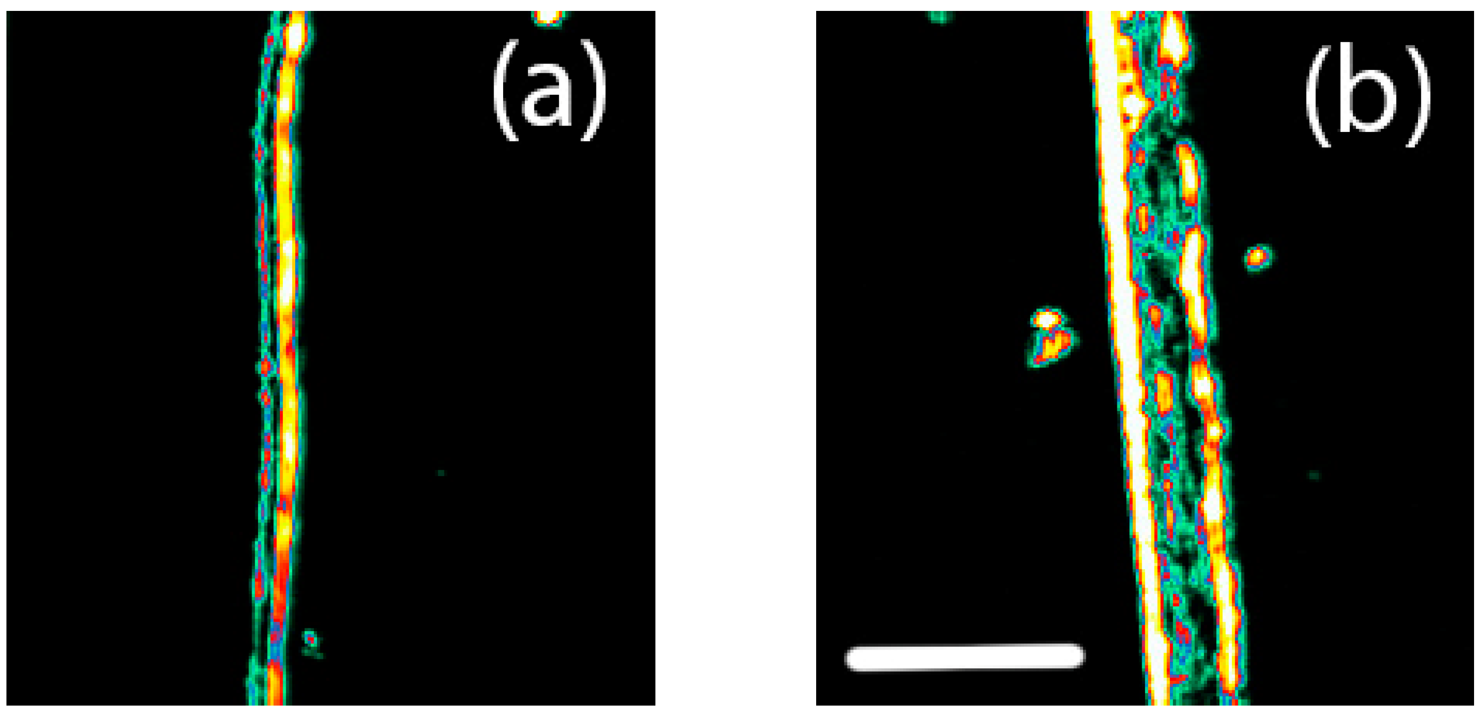 Biology 11 01096 g003 Biology 11 01096 g003