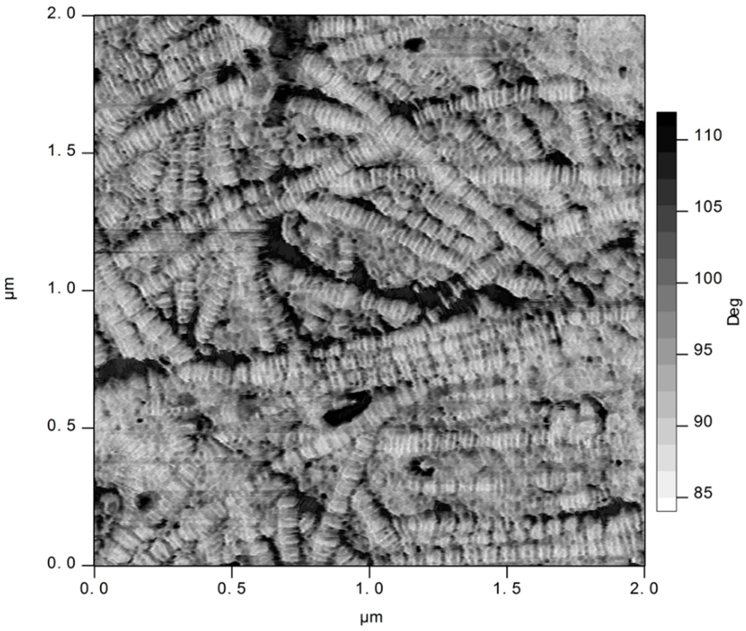 Biology 11 01096 g004 Biology 11 01096 g004
