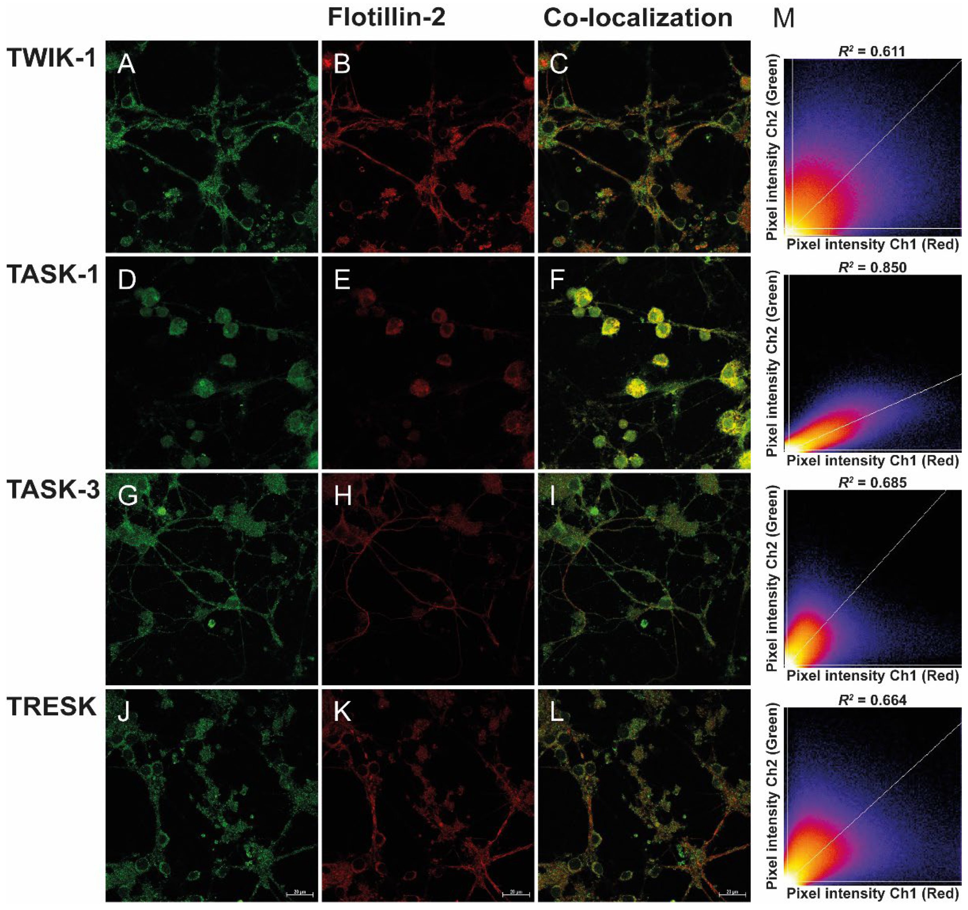Biology 11 01097 g001 Biology 11 01097 g001