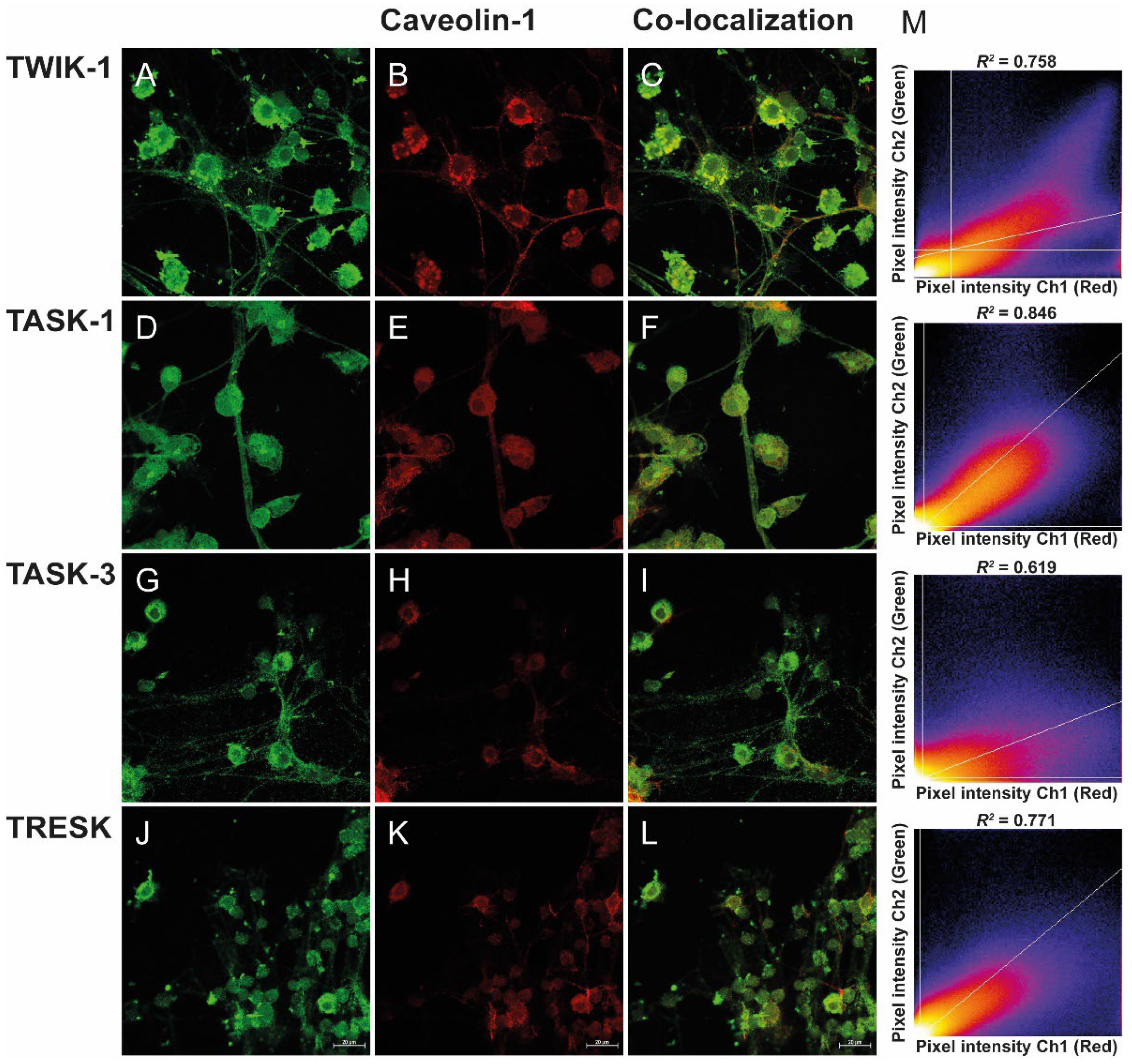 Biology 11 01097 g002 Biology 11 01097 g002