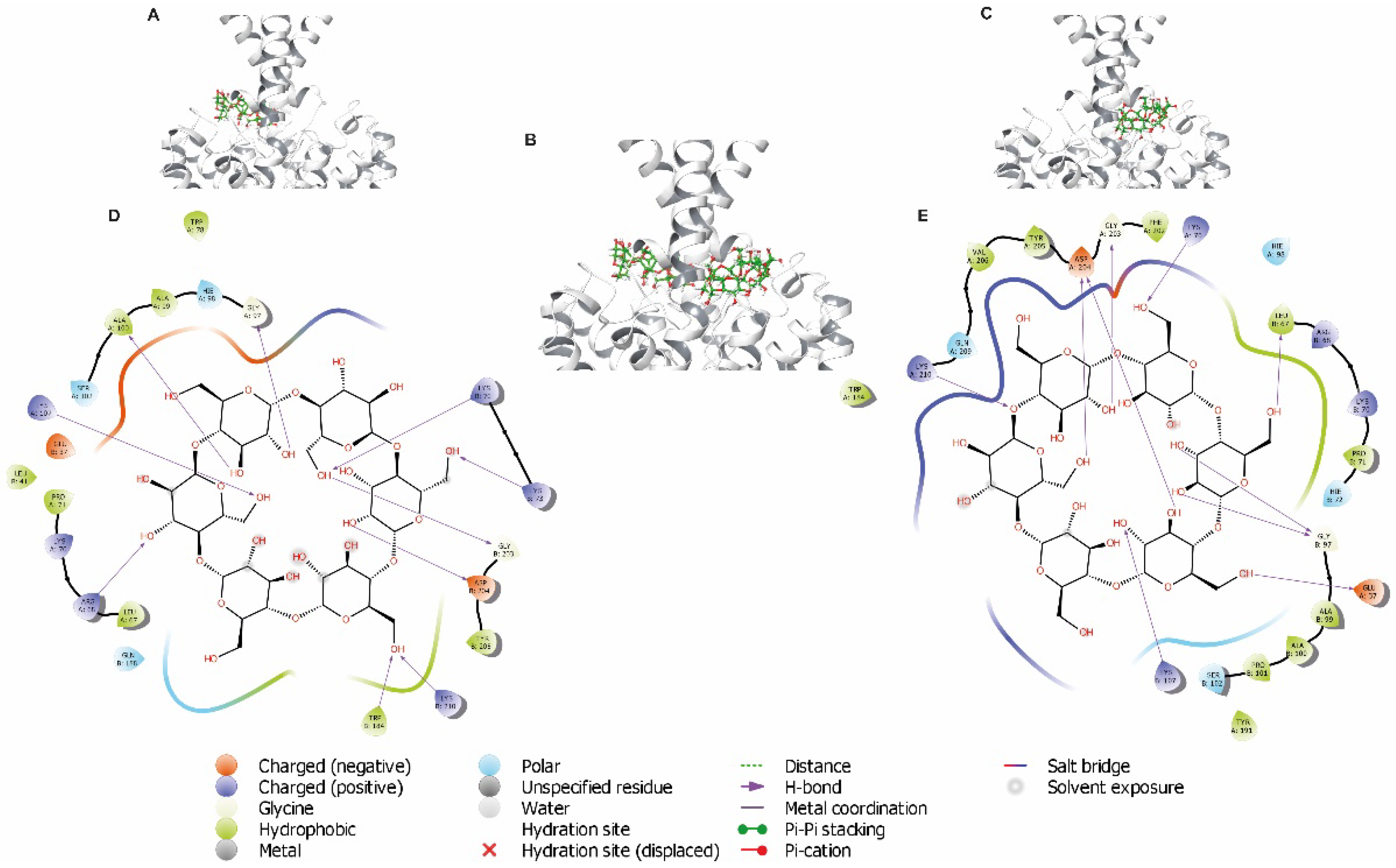 Biology 11 01097 g007 Biology 11 01097 g007