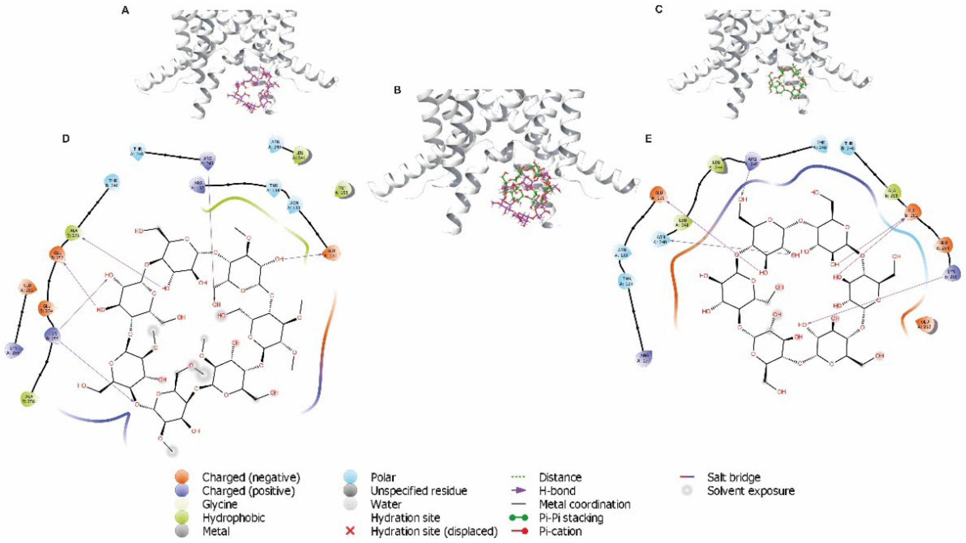Biology 11 01097 g008 Biology 11 01097 g008