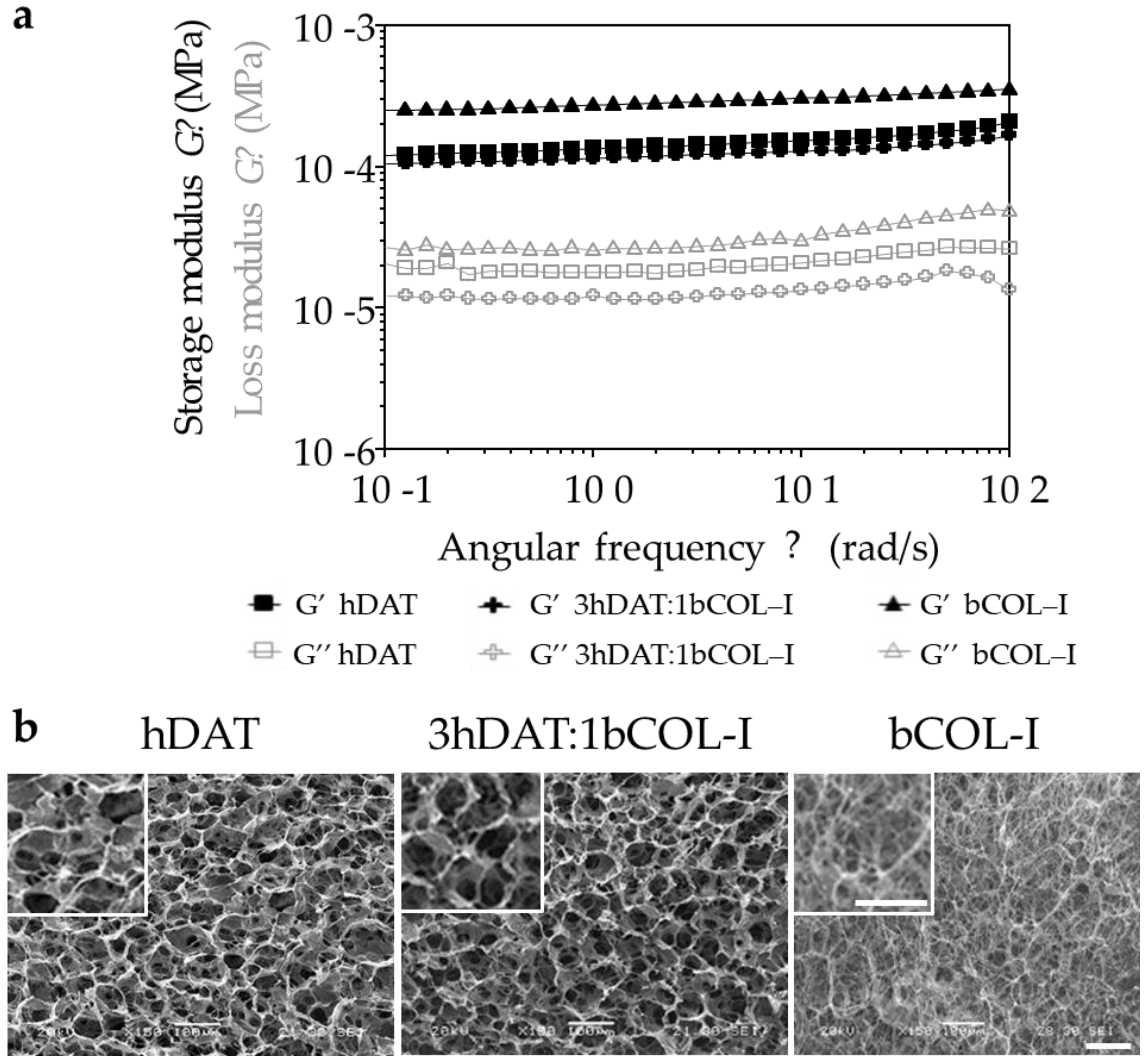 Biology 11 01099 g001