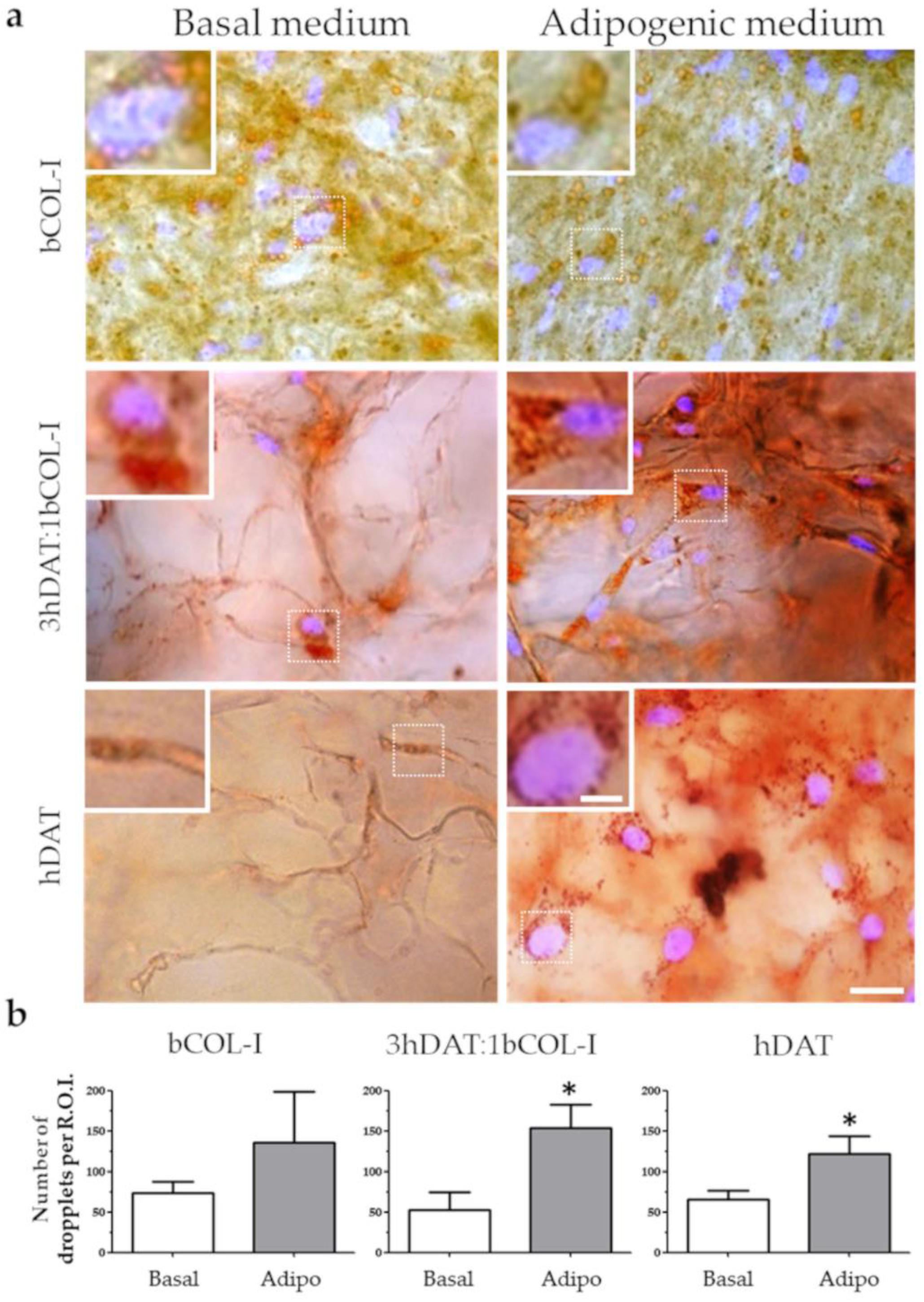 Biology 11 01099 g006