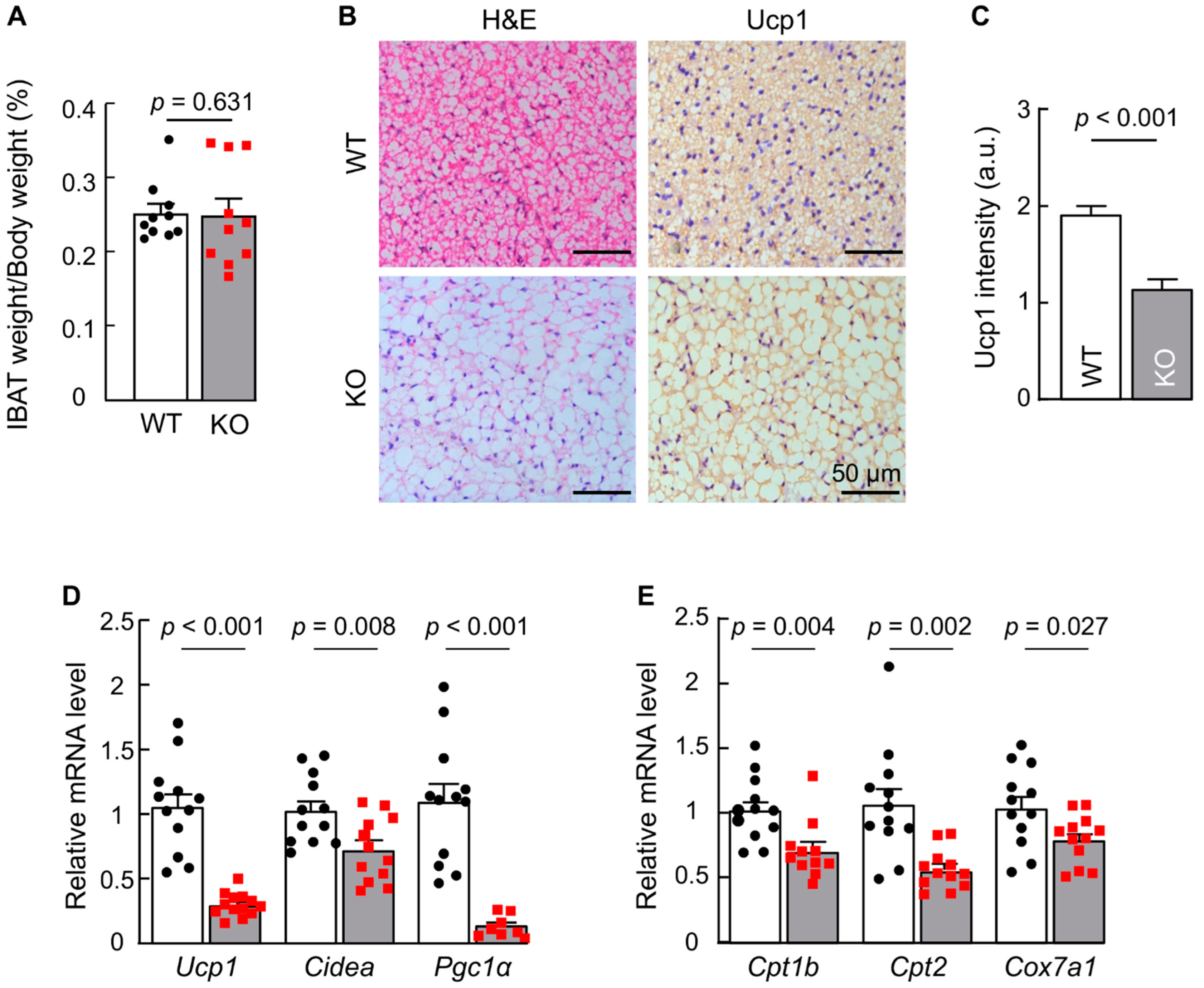 Biology 11 01101 g002 550
