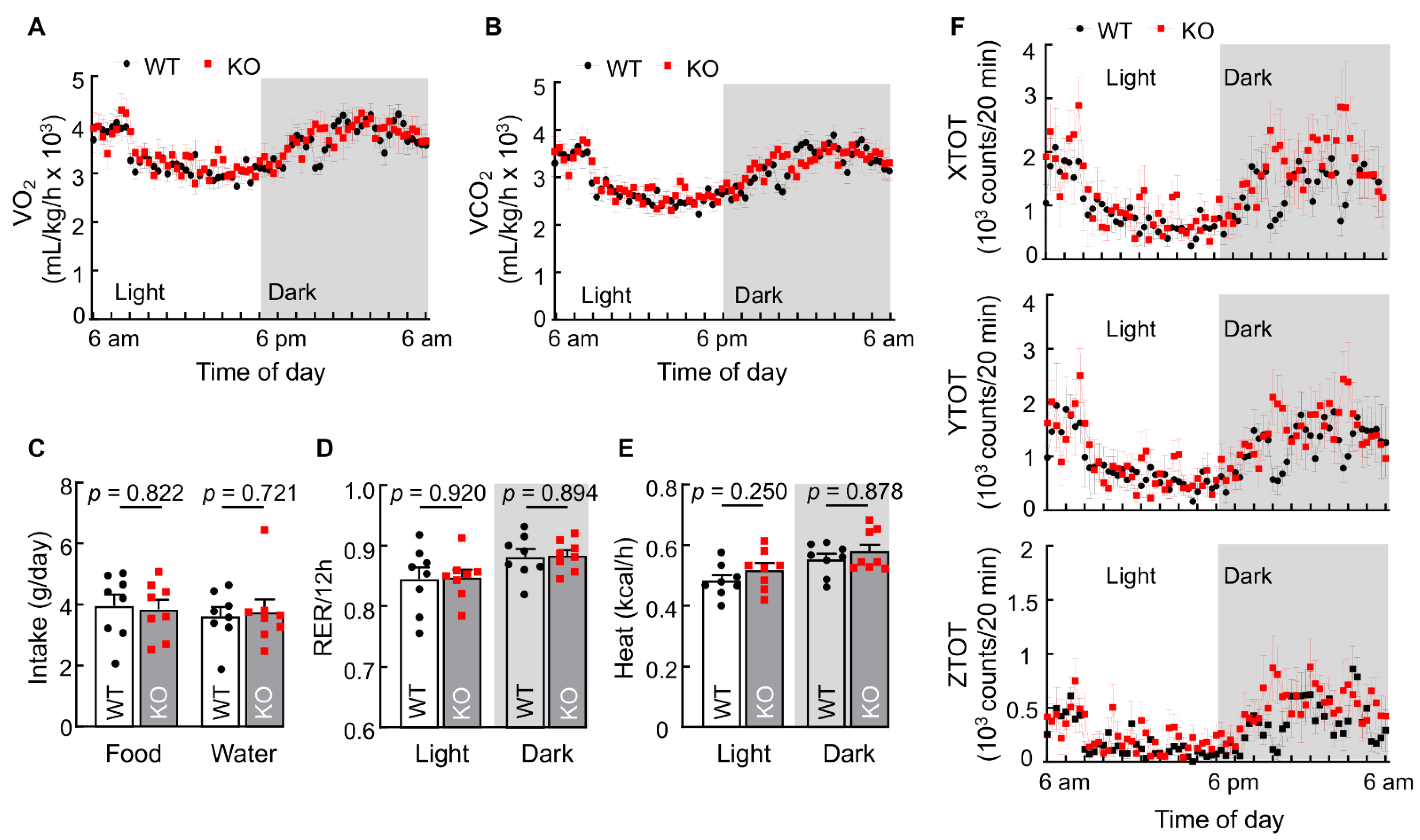 Biology 11 01101 g003 550