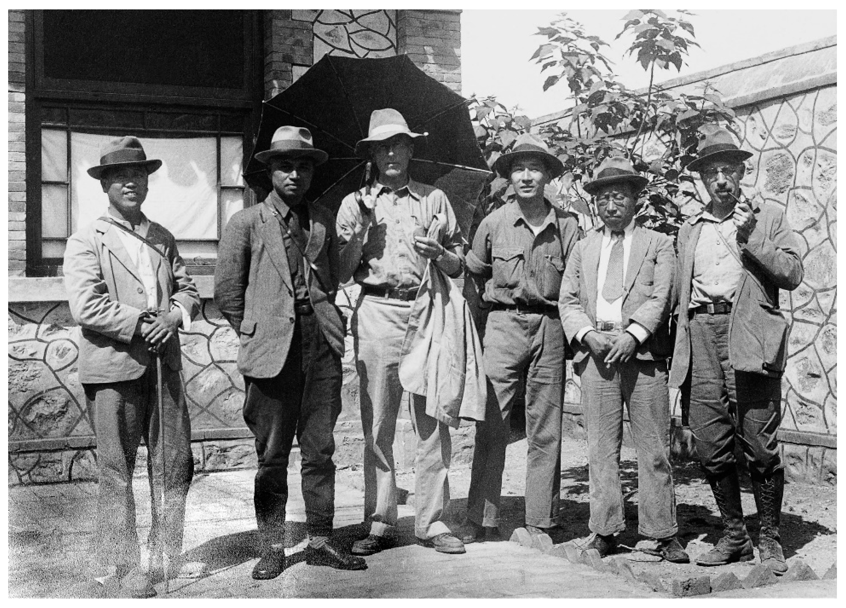 Biology 11 01104 g002 550