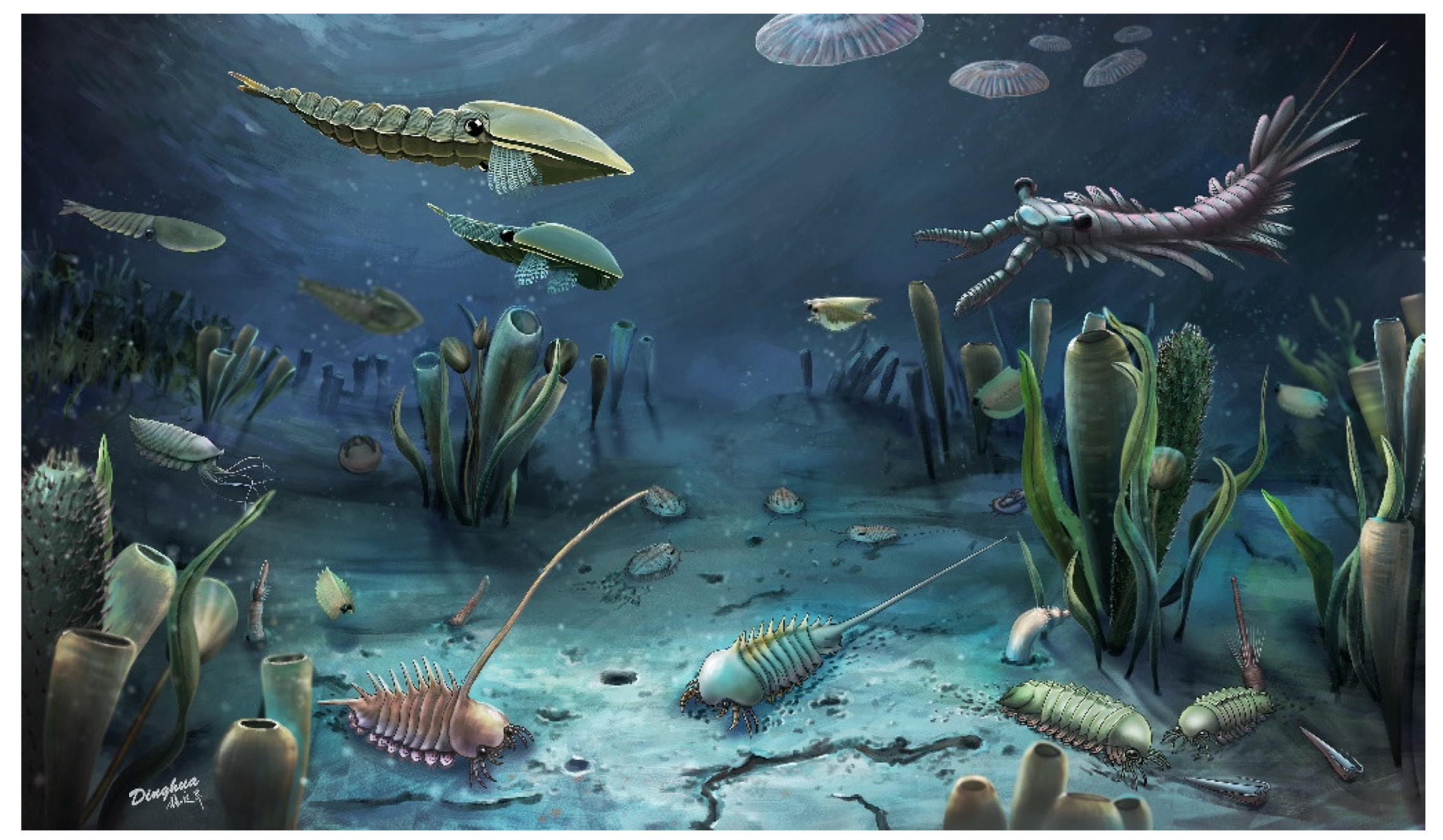 Biology 11 01104 g006 550