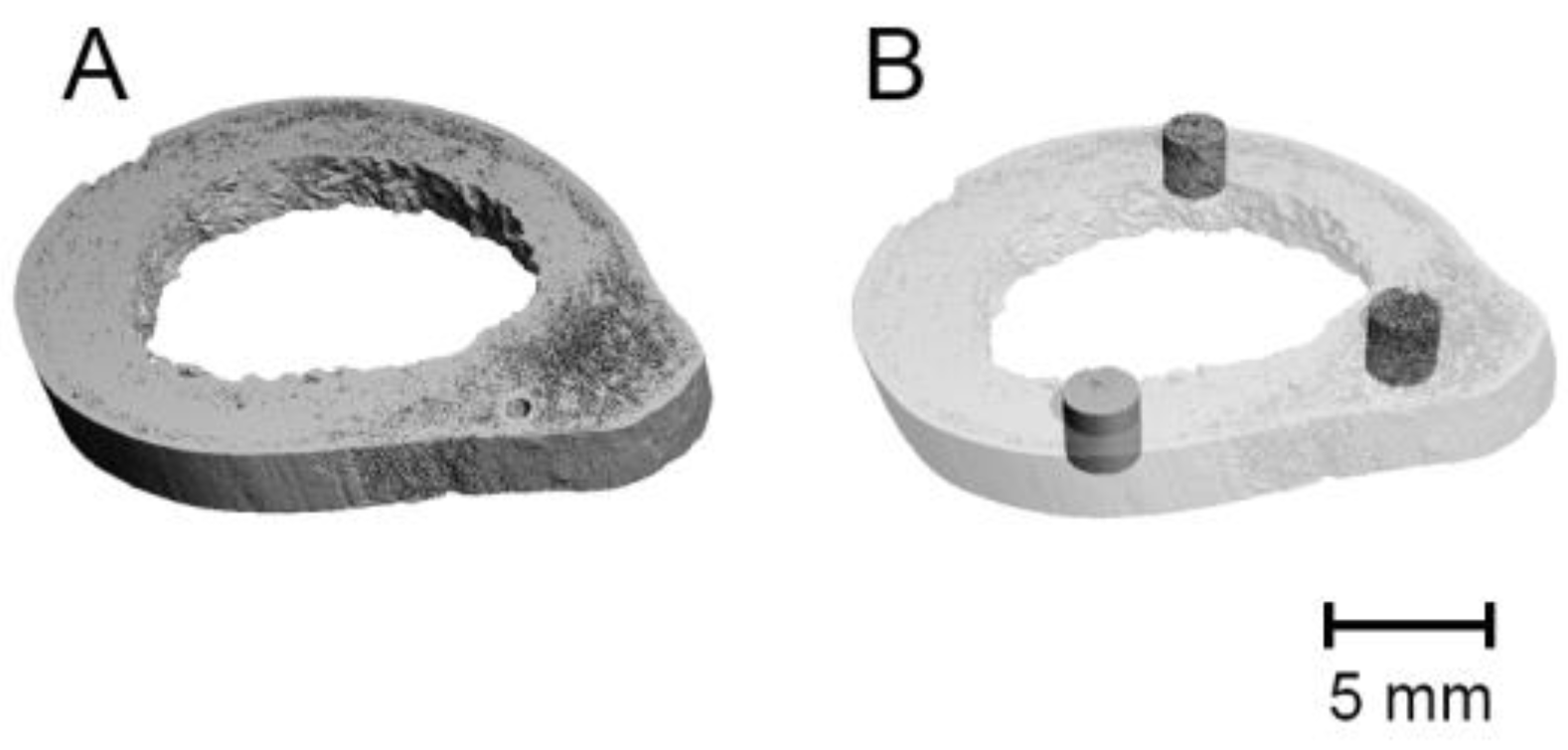 Biology 11 01105 g001 Biology 11 01105 g001