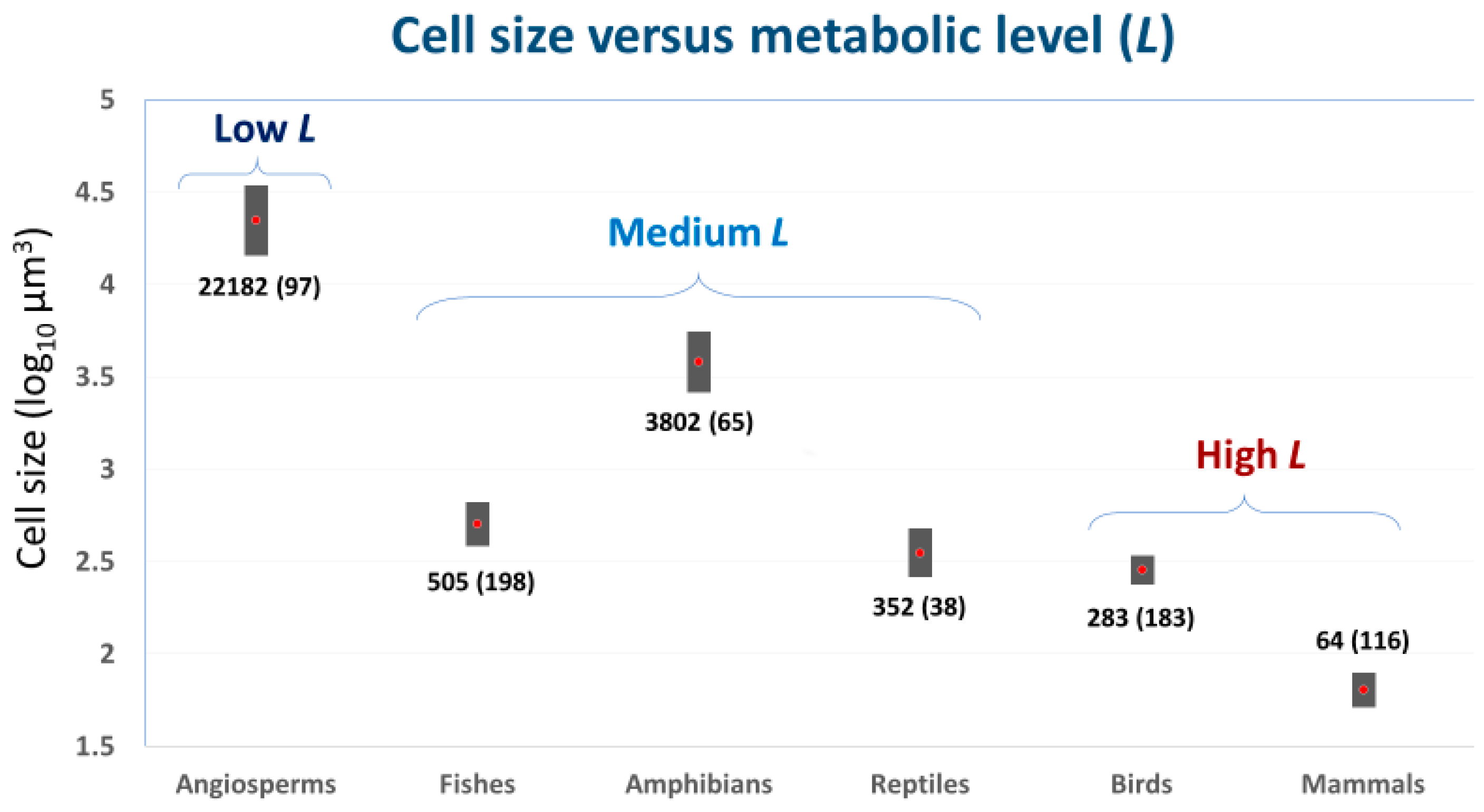 Biology 11 01106 g001 Biology 11 01106 g001