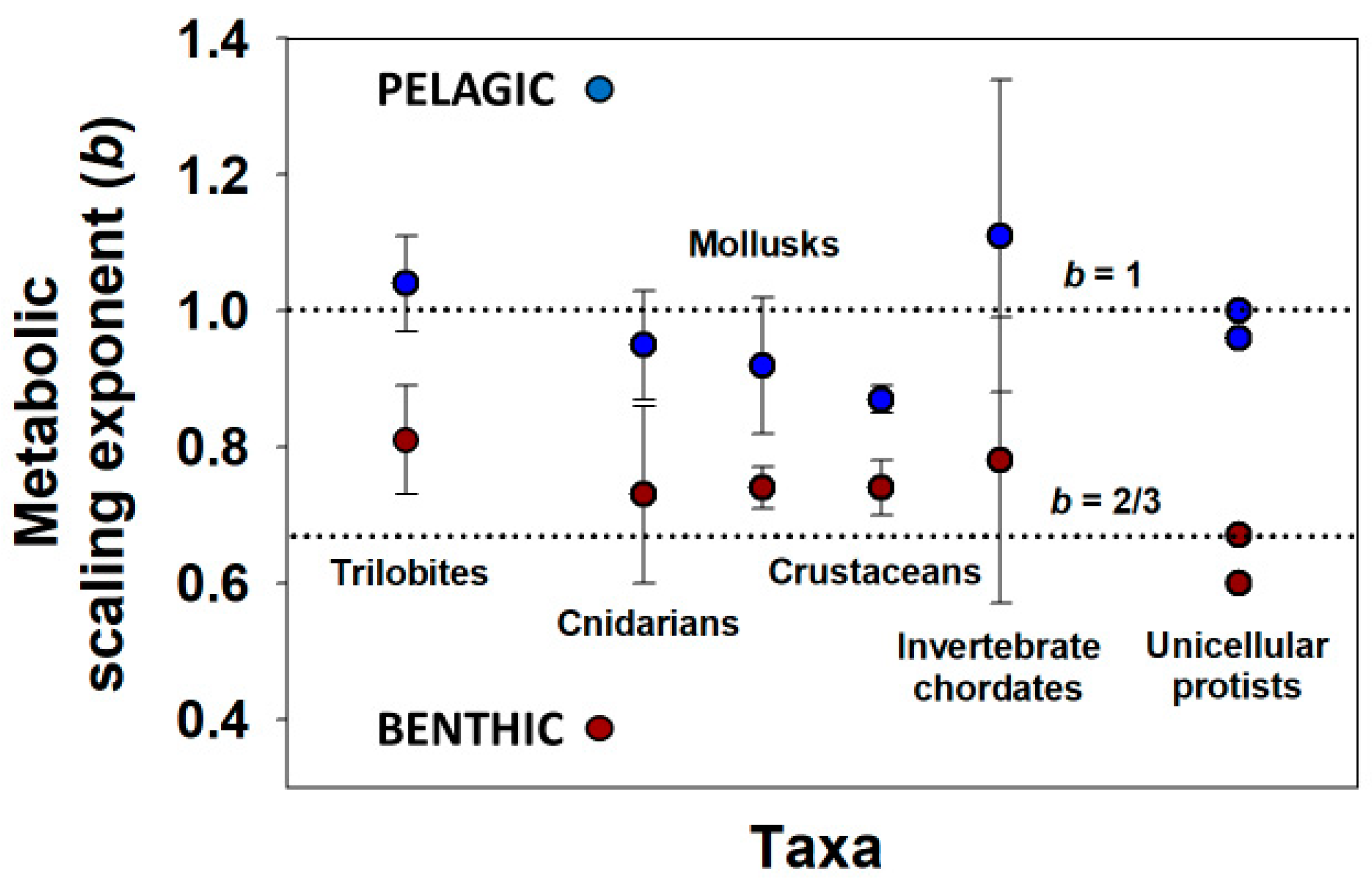Biology 11 01106 g003 Biology 11 01106 g003