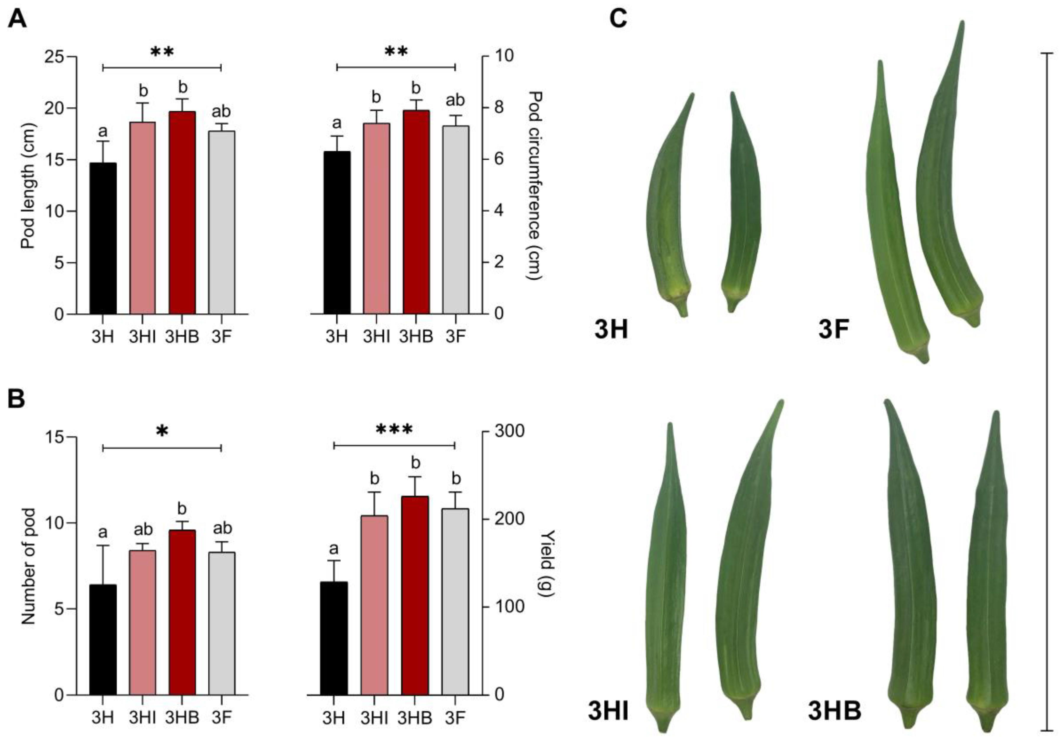 Biology 11 01107 g003 Biology 11 01107 g003