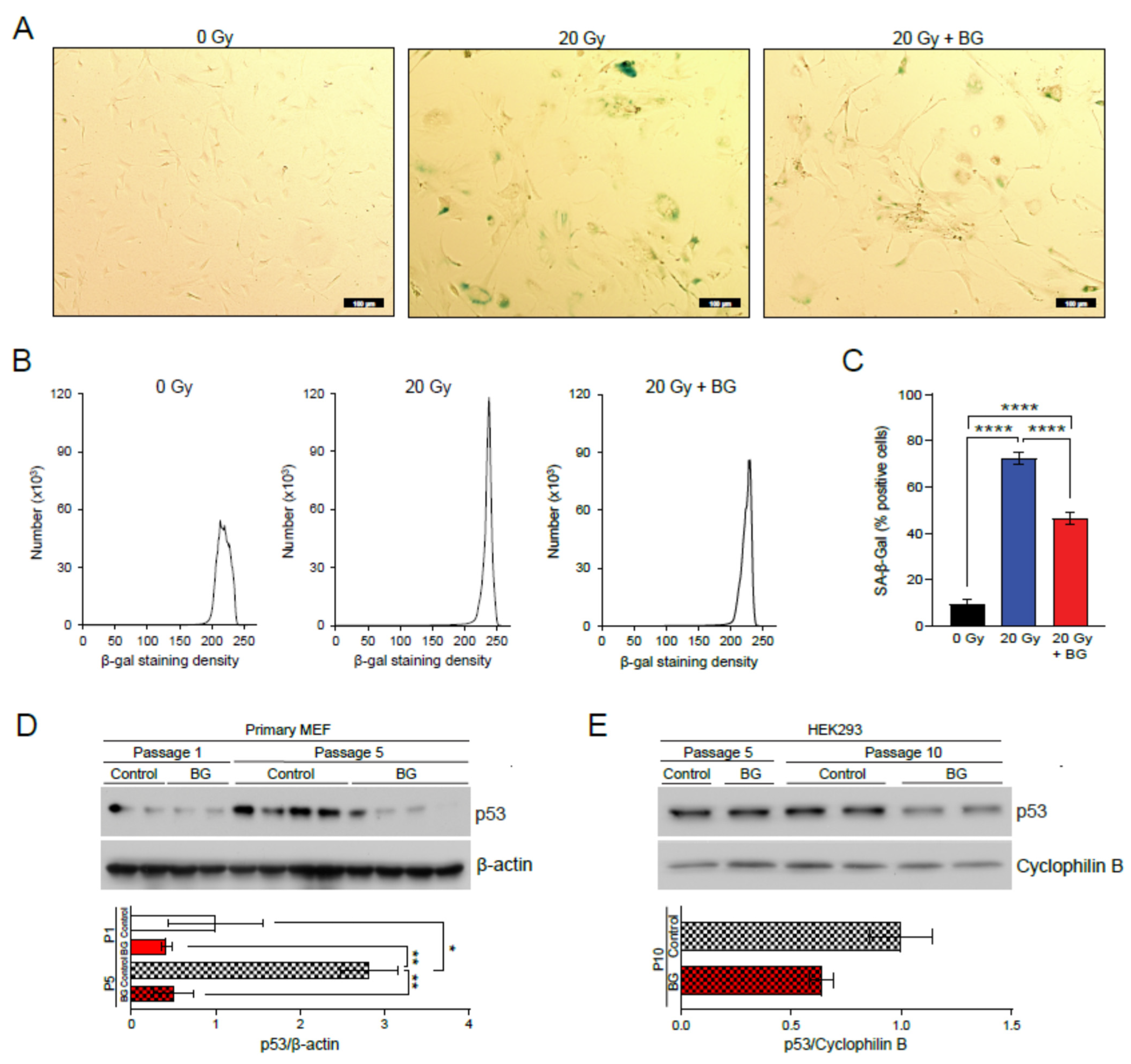 Biology 11 01108 g001