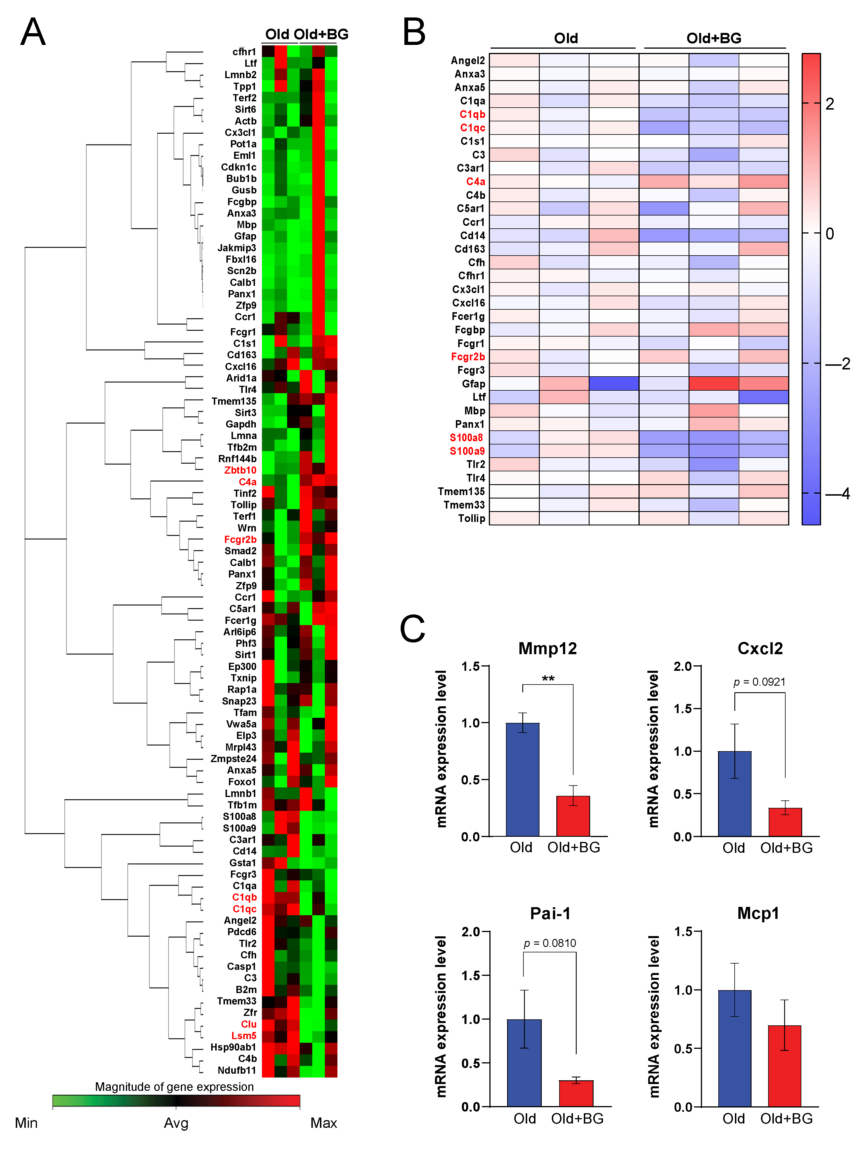 Biology 11 01108 g002