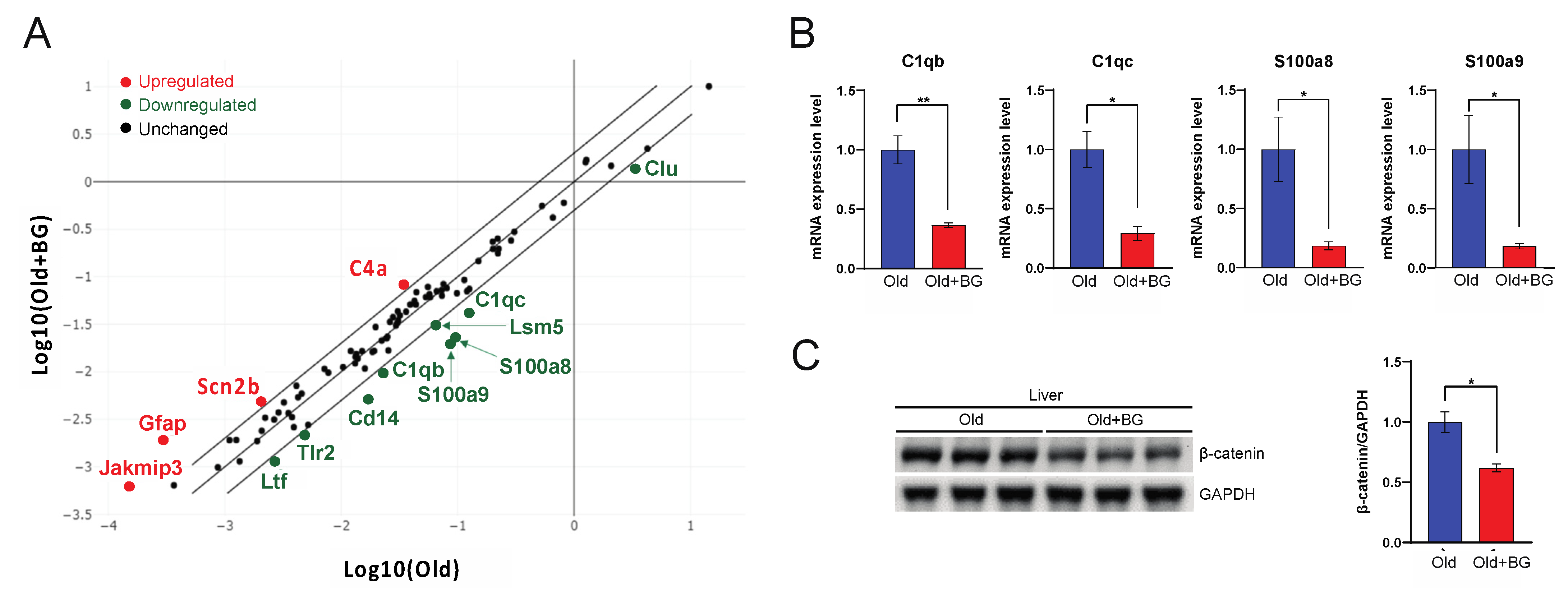 Biology 11 01108 g003