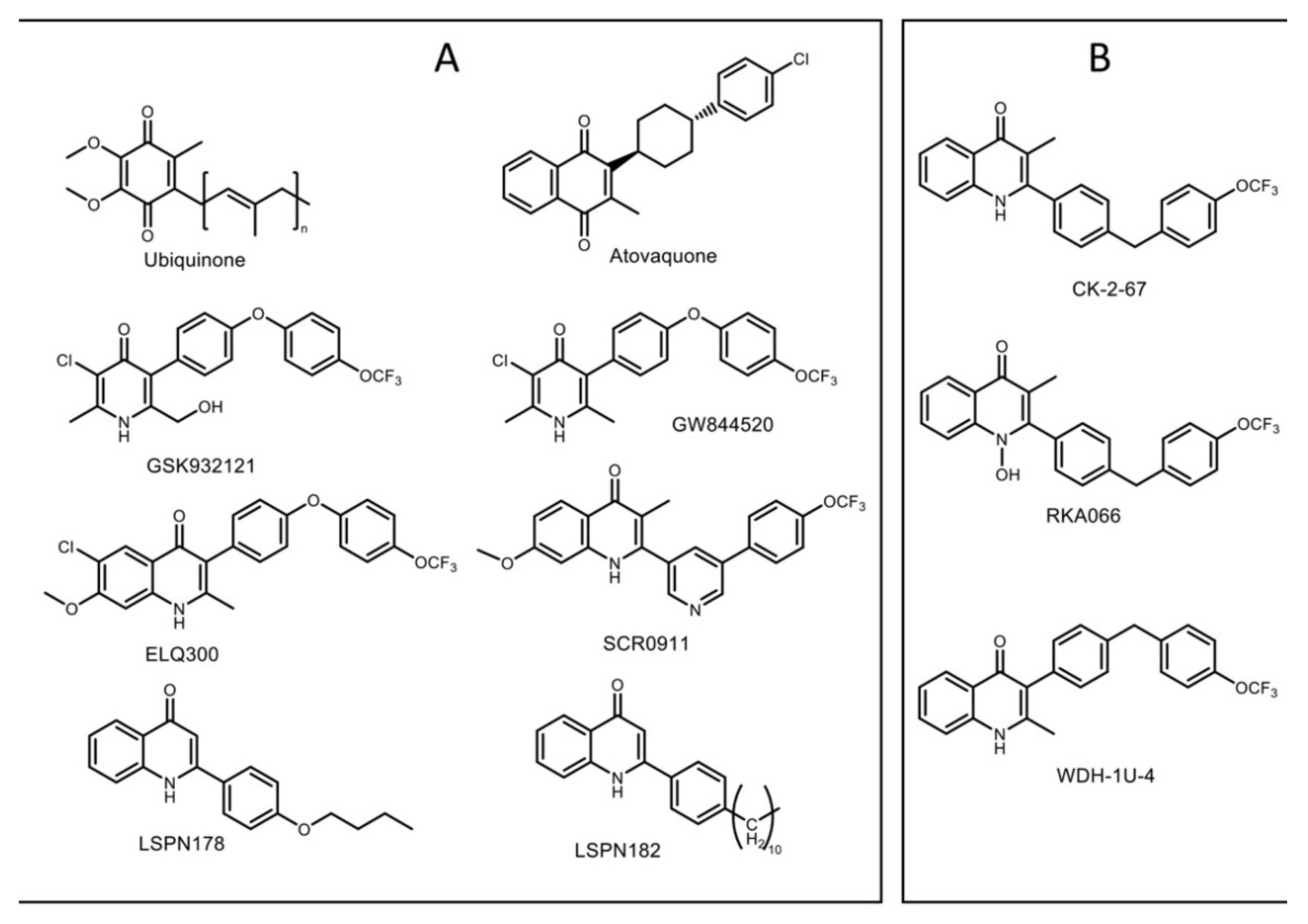 Biology 11 01109 g001