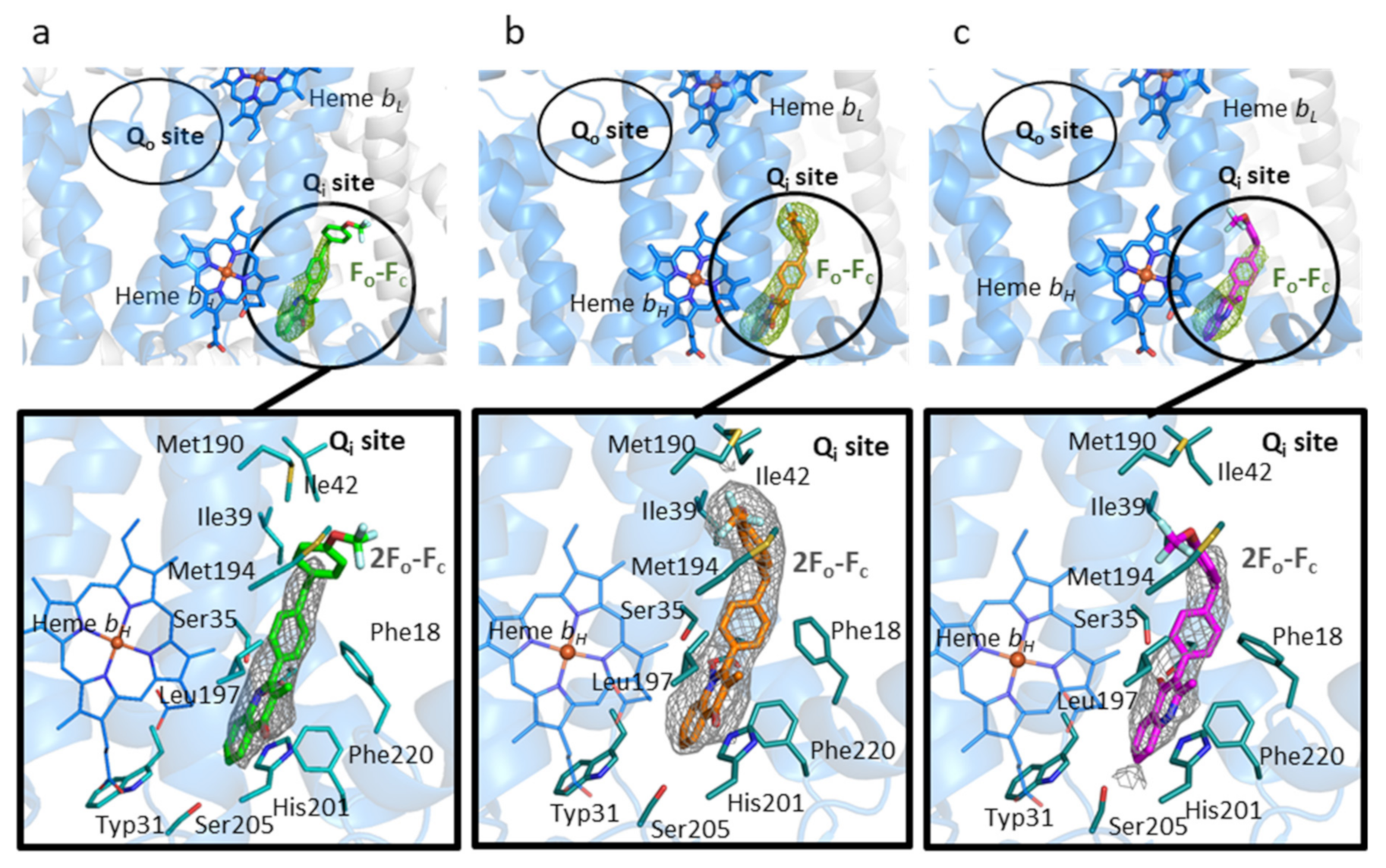 Biology 11 01109 g002