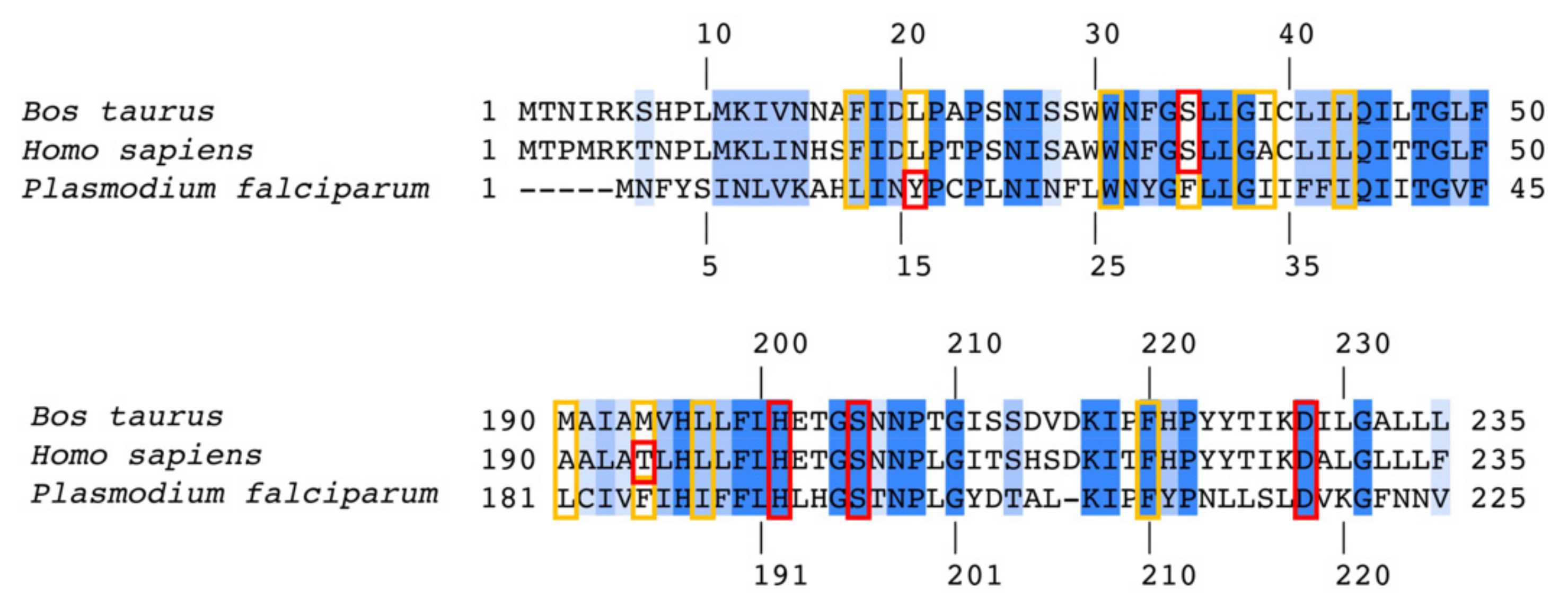 Biology 11 01109 g004