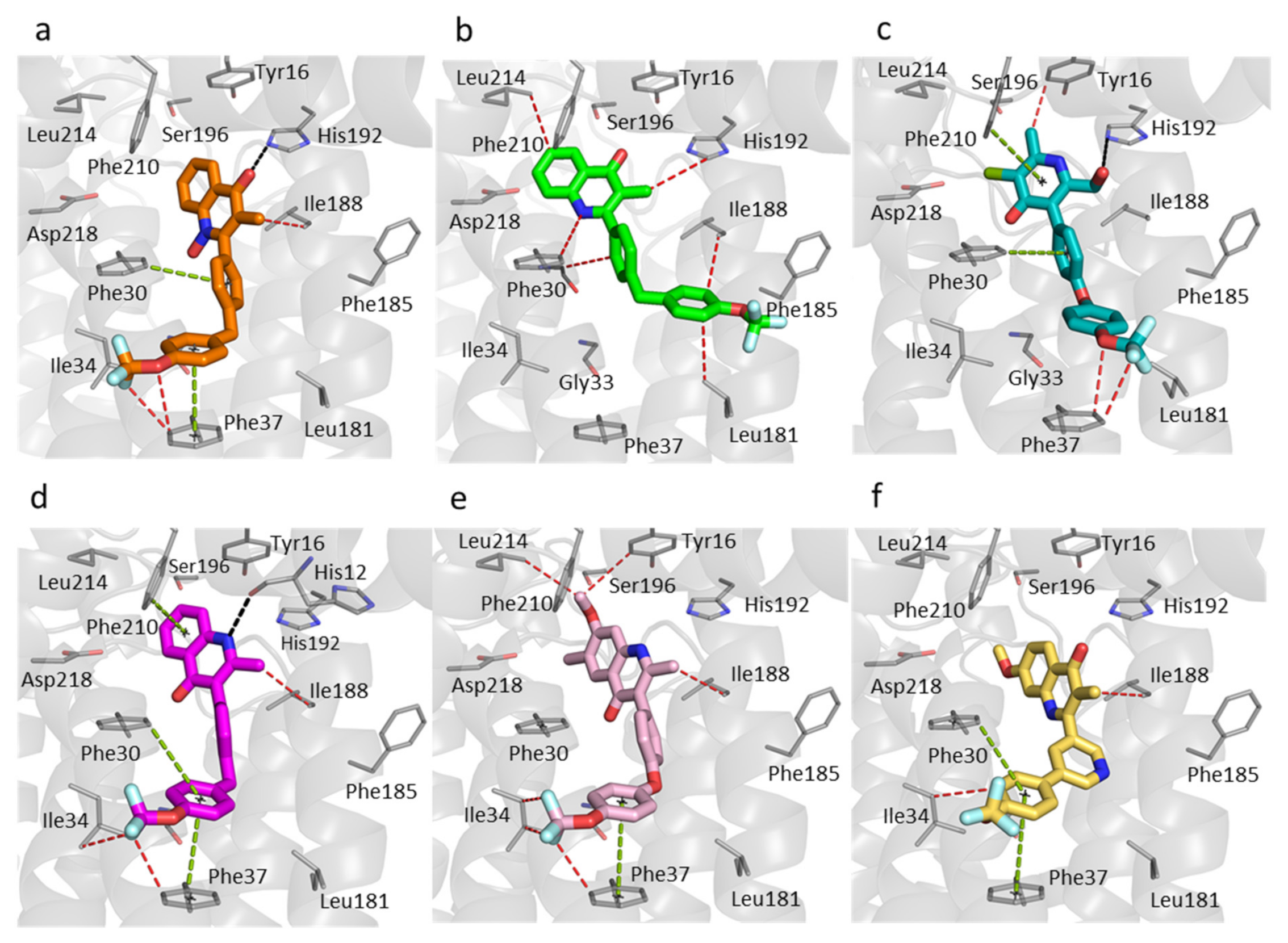 Biology 11 01109 g005
