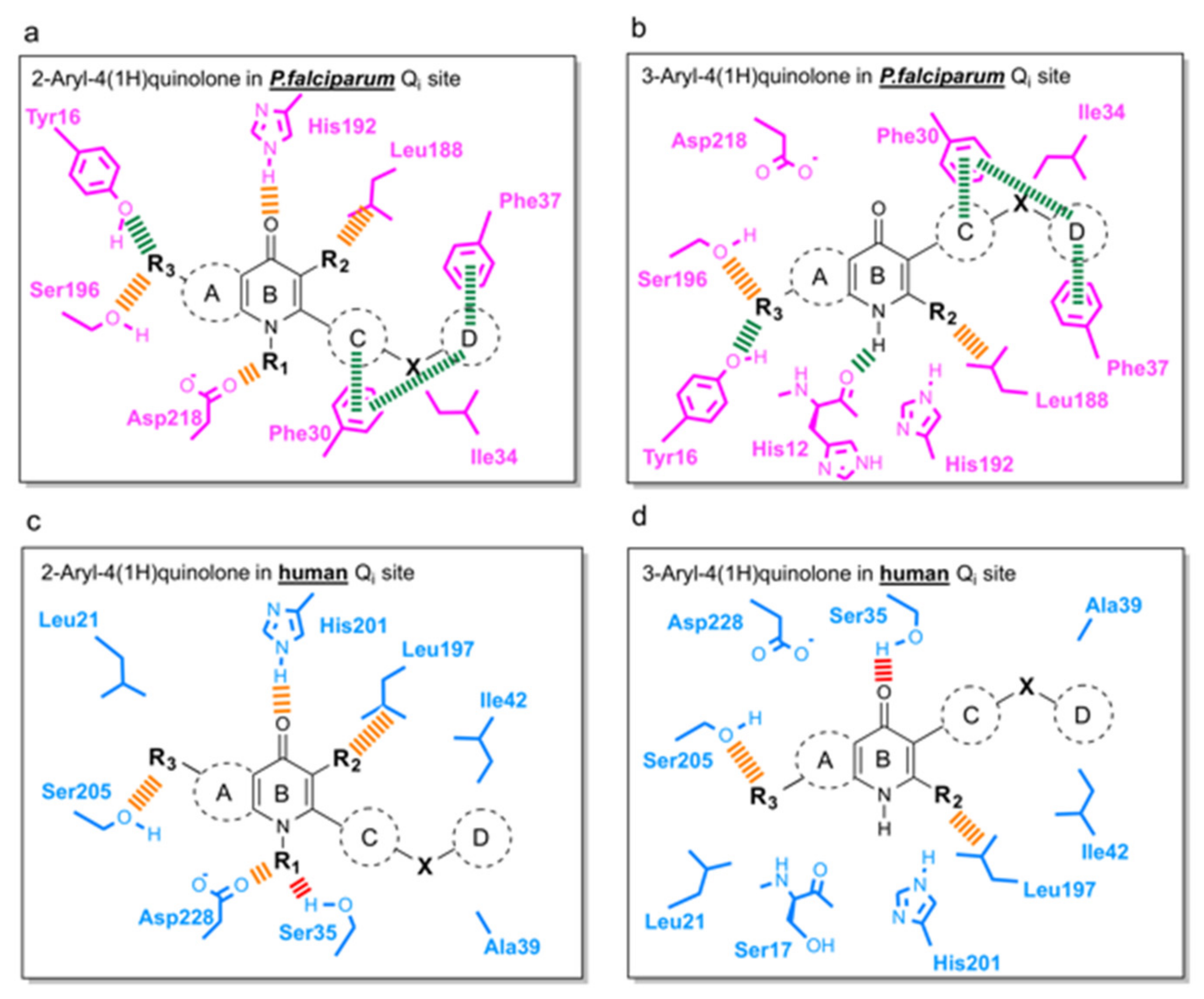 Biology 11 01109 g006