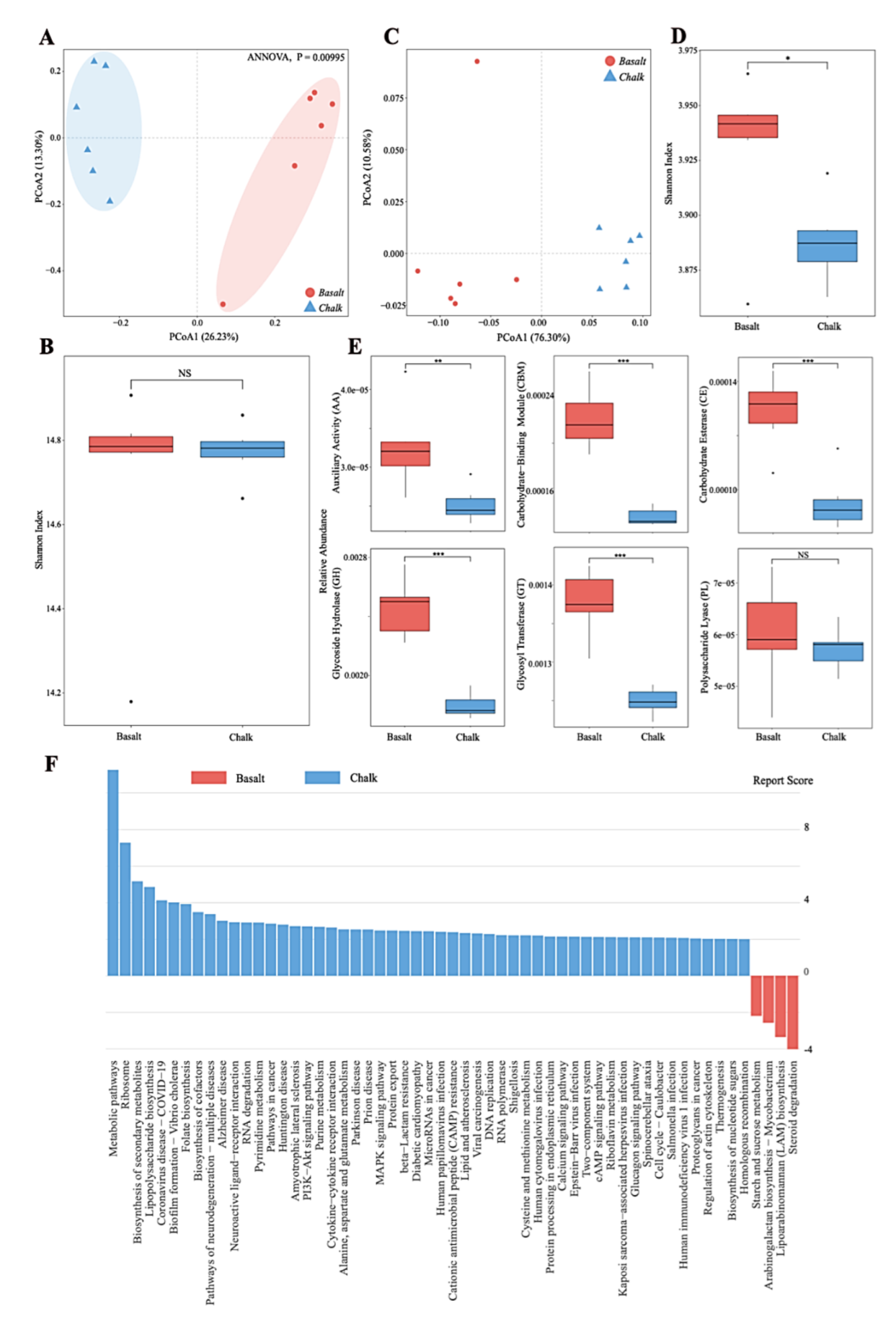 Biology 11 01110 g003