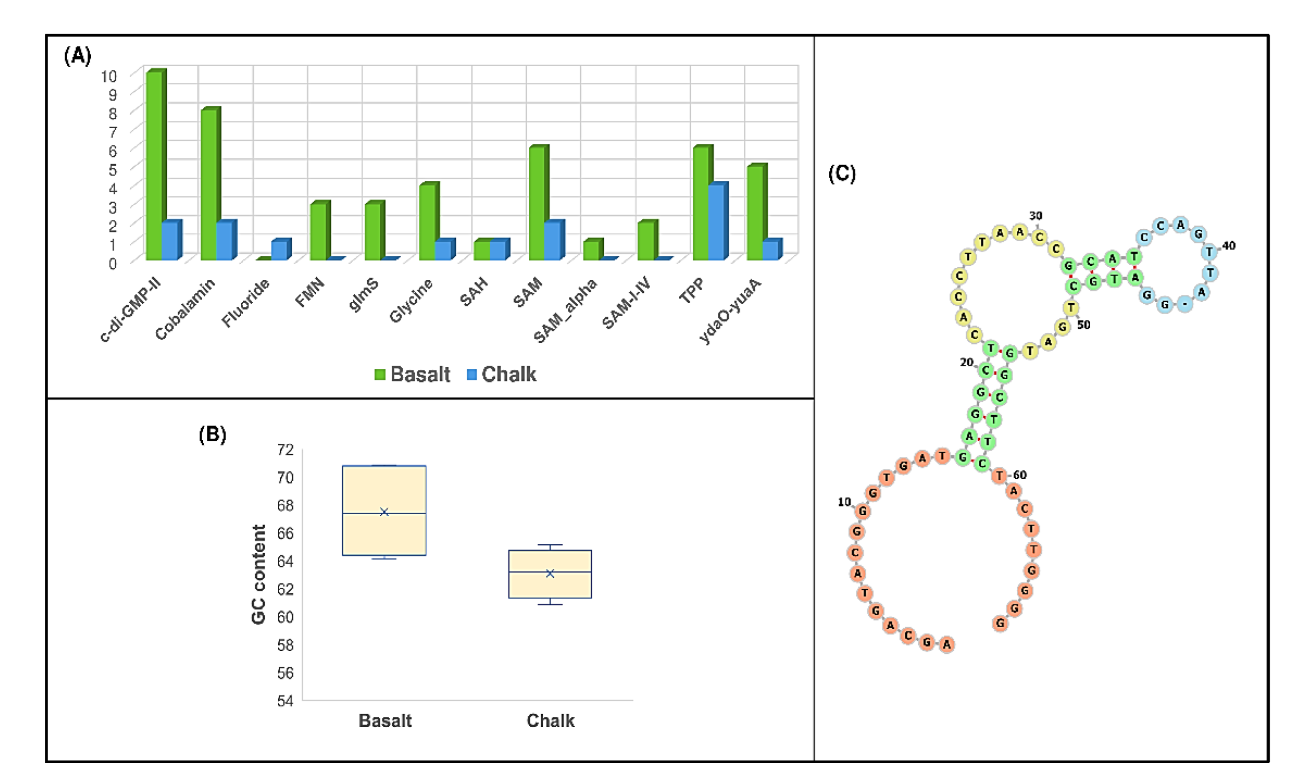 Biology 11 01110 g004