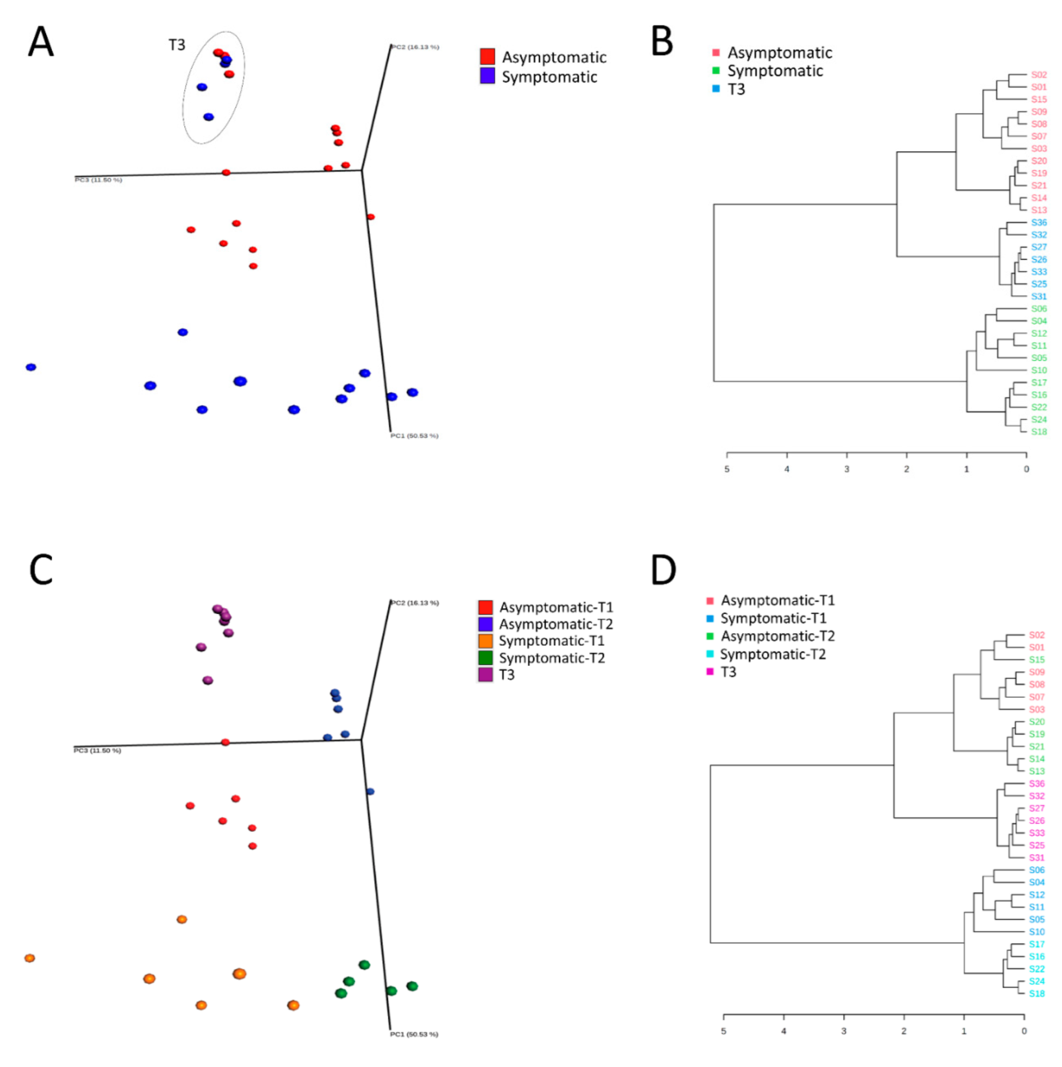 Biology 11 01111 g001 Biology 11 01111 g001