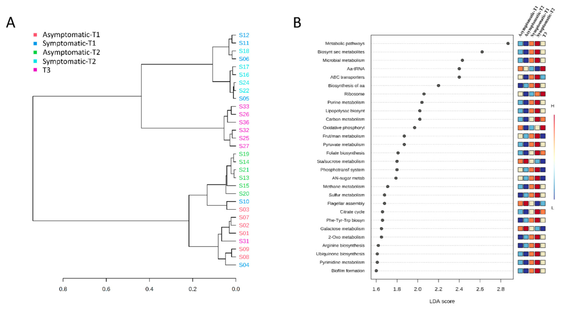 Biology 11 01111 g007 Biology 11 01111 g007