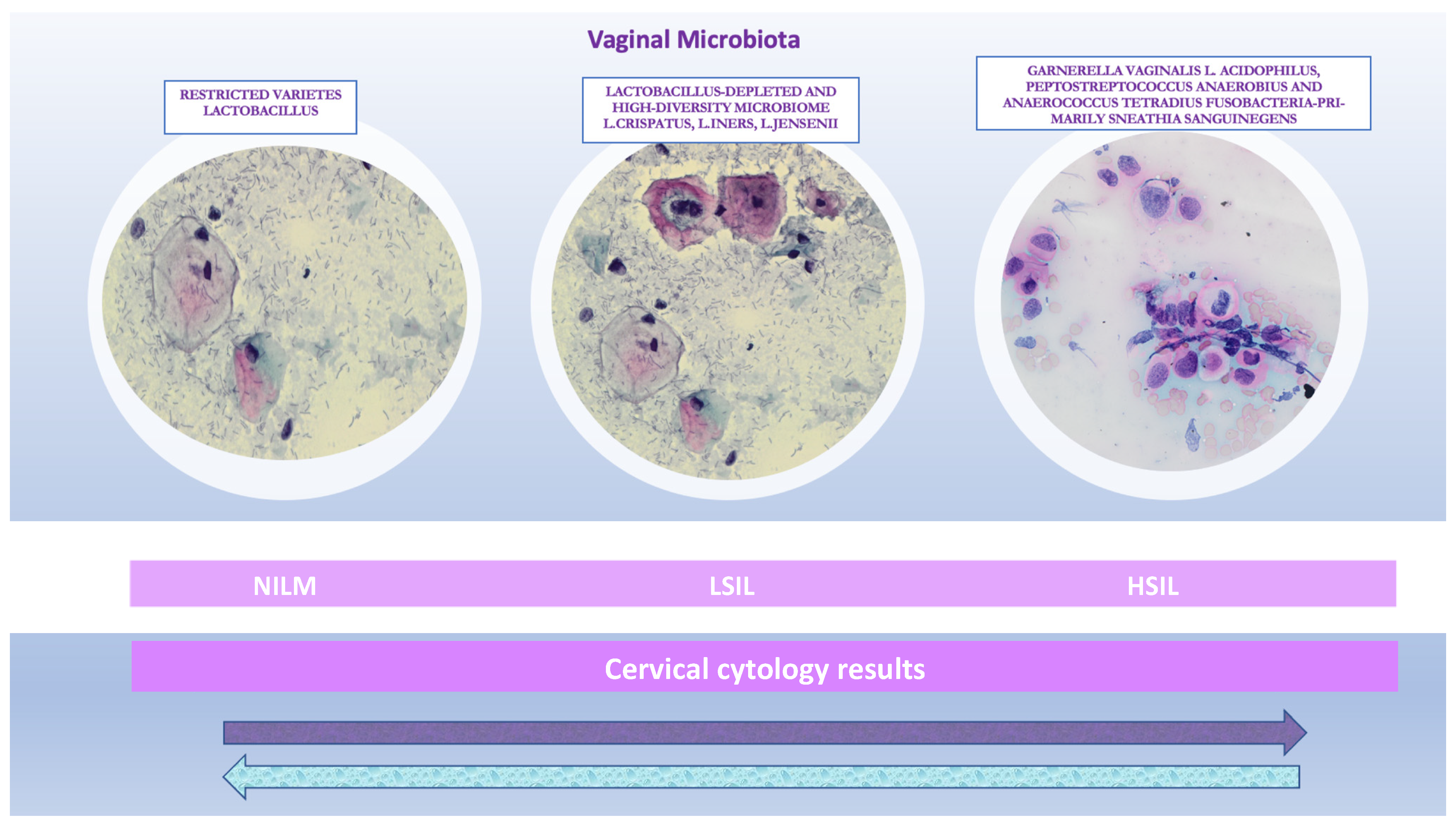 Biology 11 01114 g001 Biology 11 01114 g001
