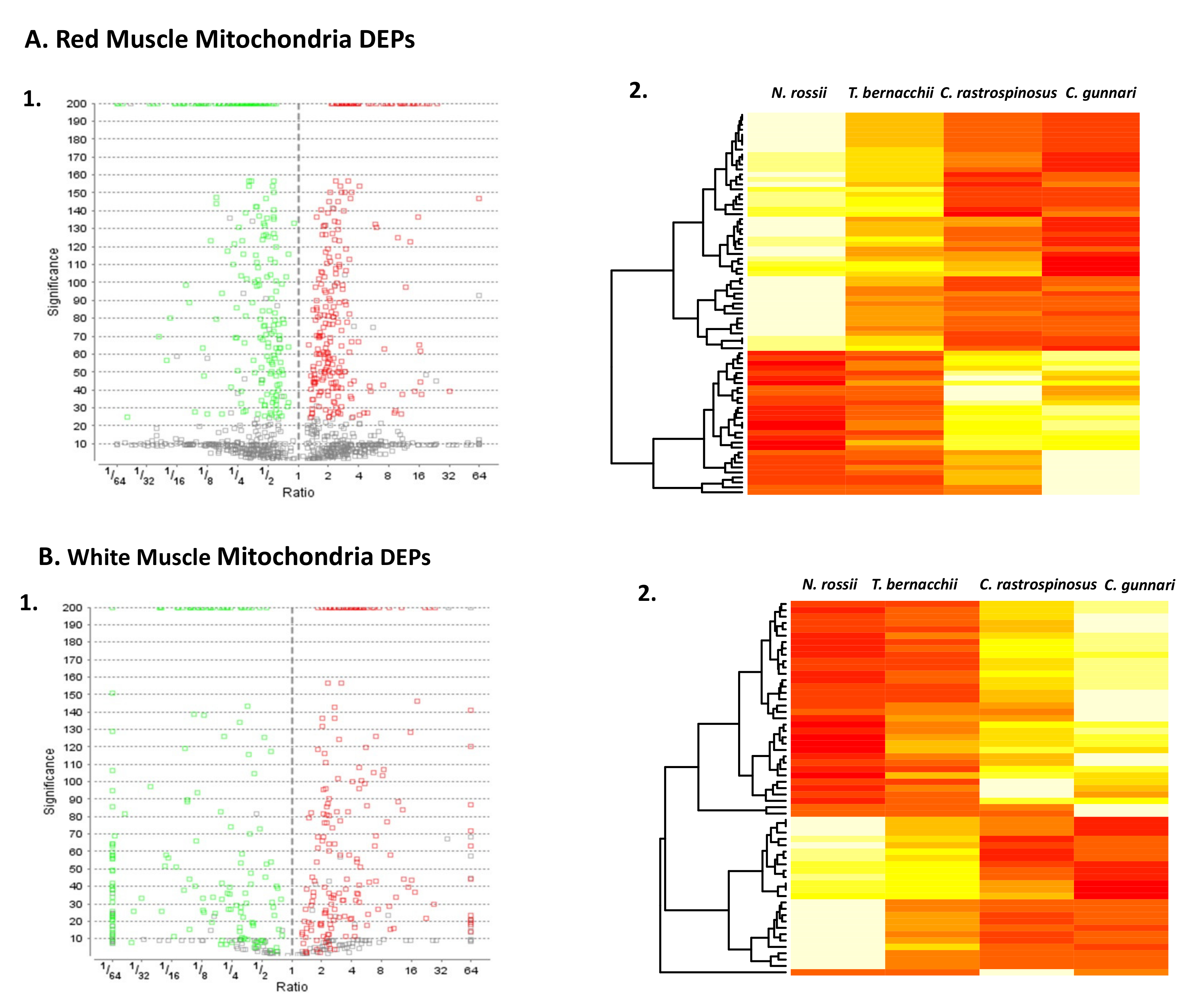Biology 11 01118 g001 Biology 11 01118 g001