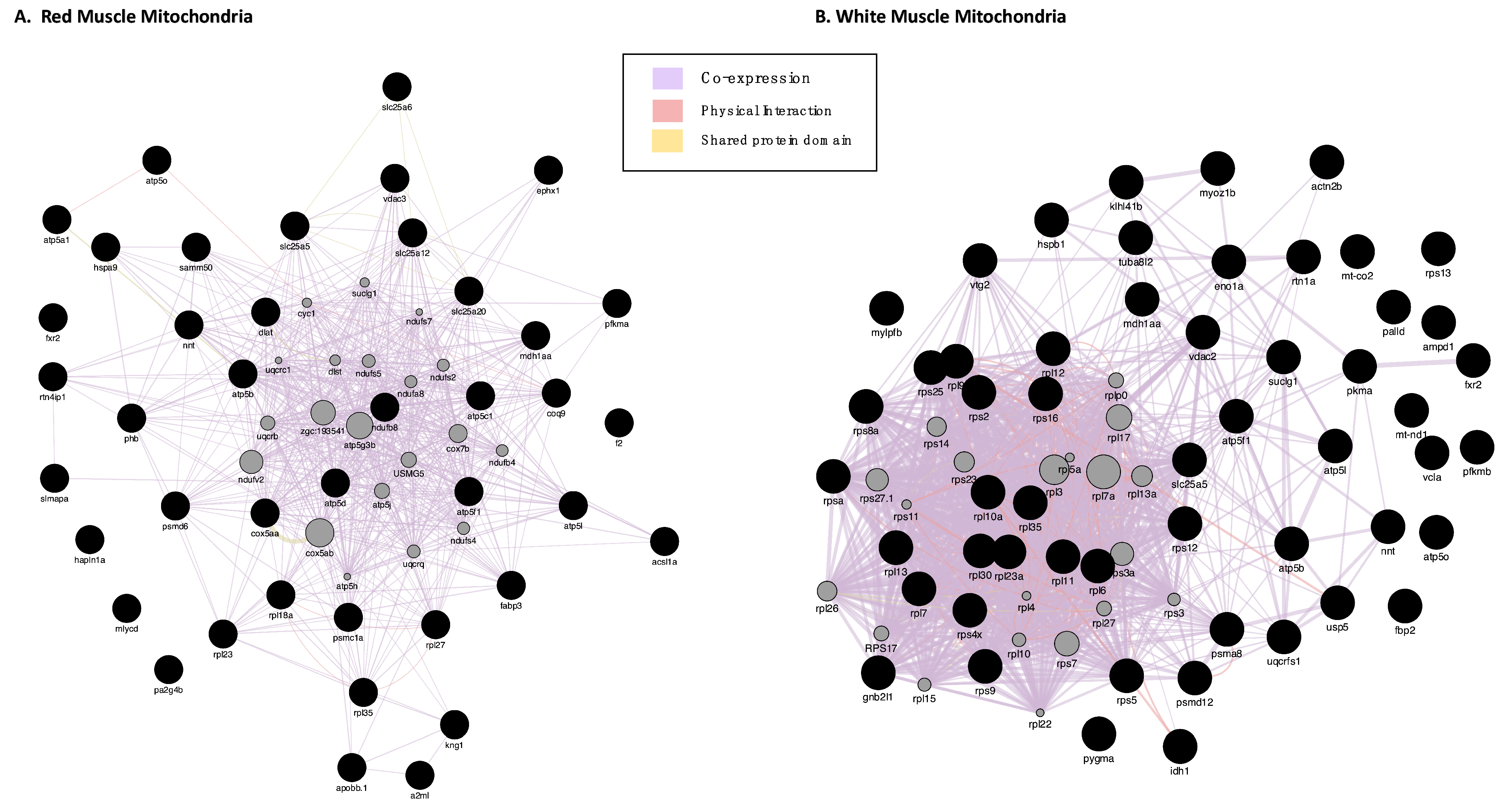 Biology 11 01118 g002 Biology 11 01118 g002